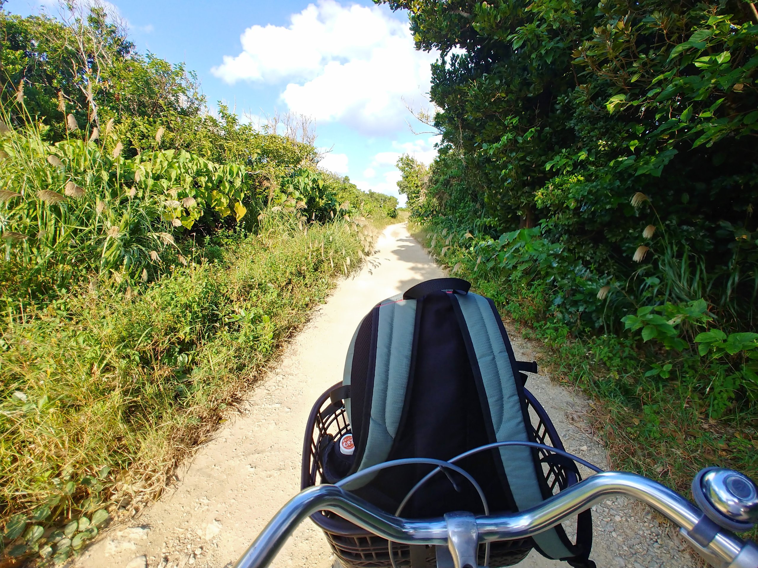 自転車で走る島の小道