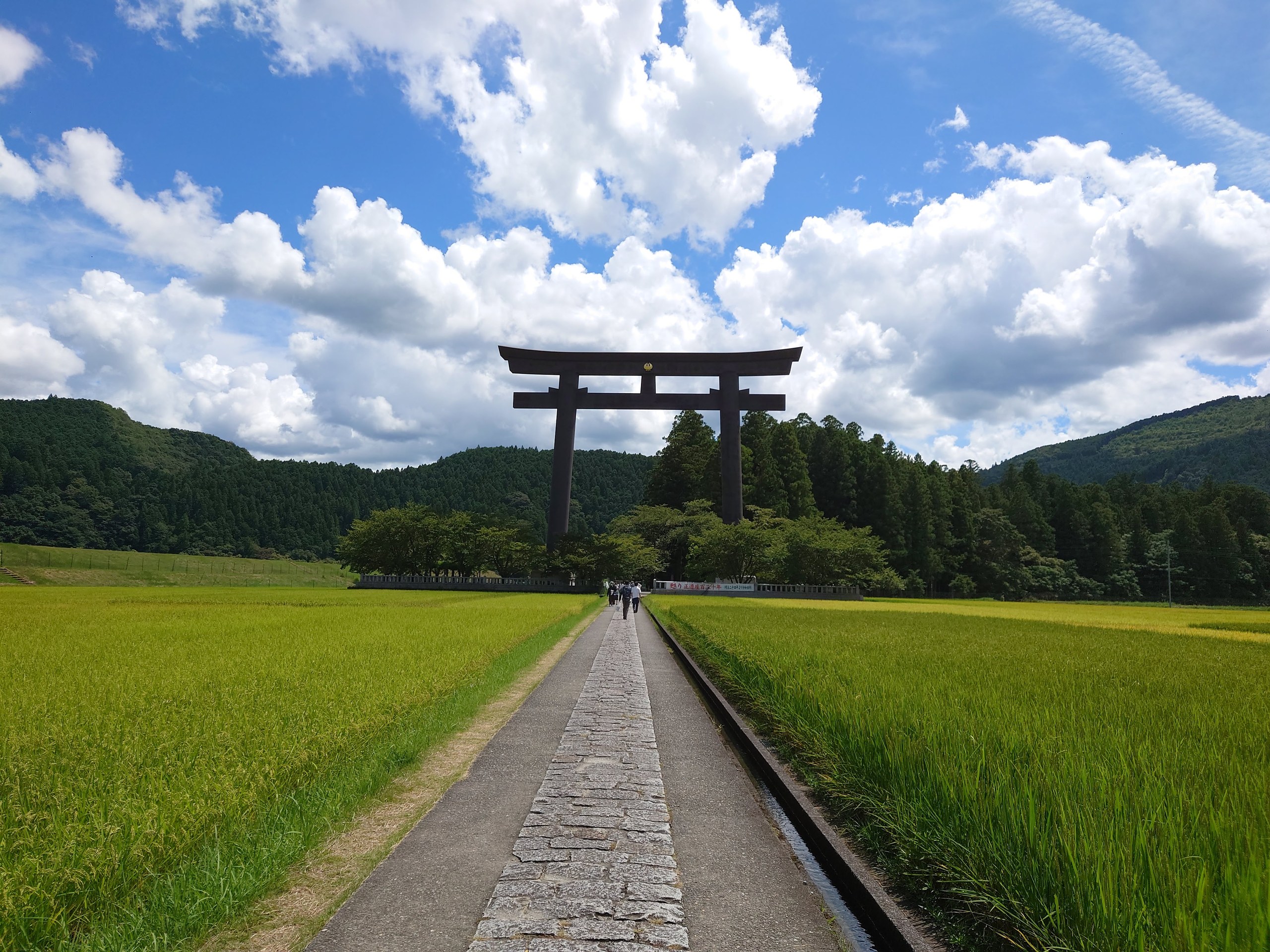 実りはじめた稲の田んぼの間をまっすぐ延びる参道と、その先の大鳥居
