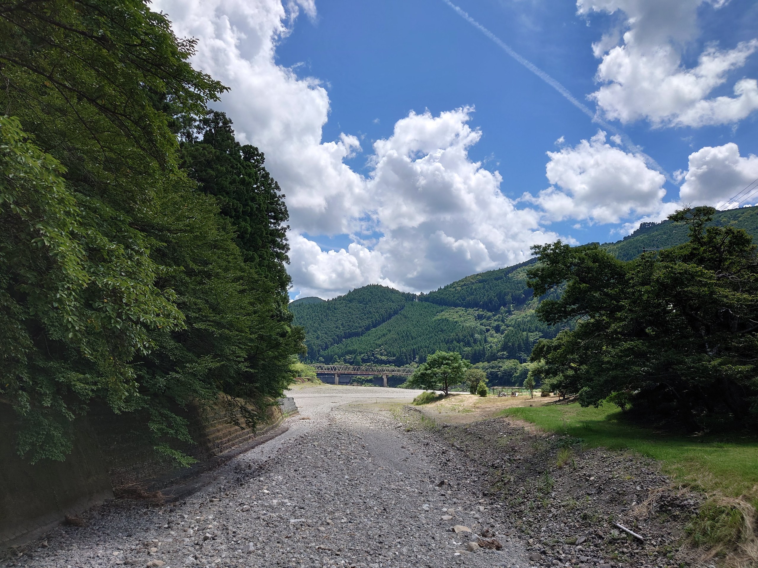 見上げた大鳥居の柱と、八咫烏の飾り
