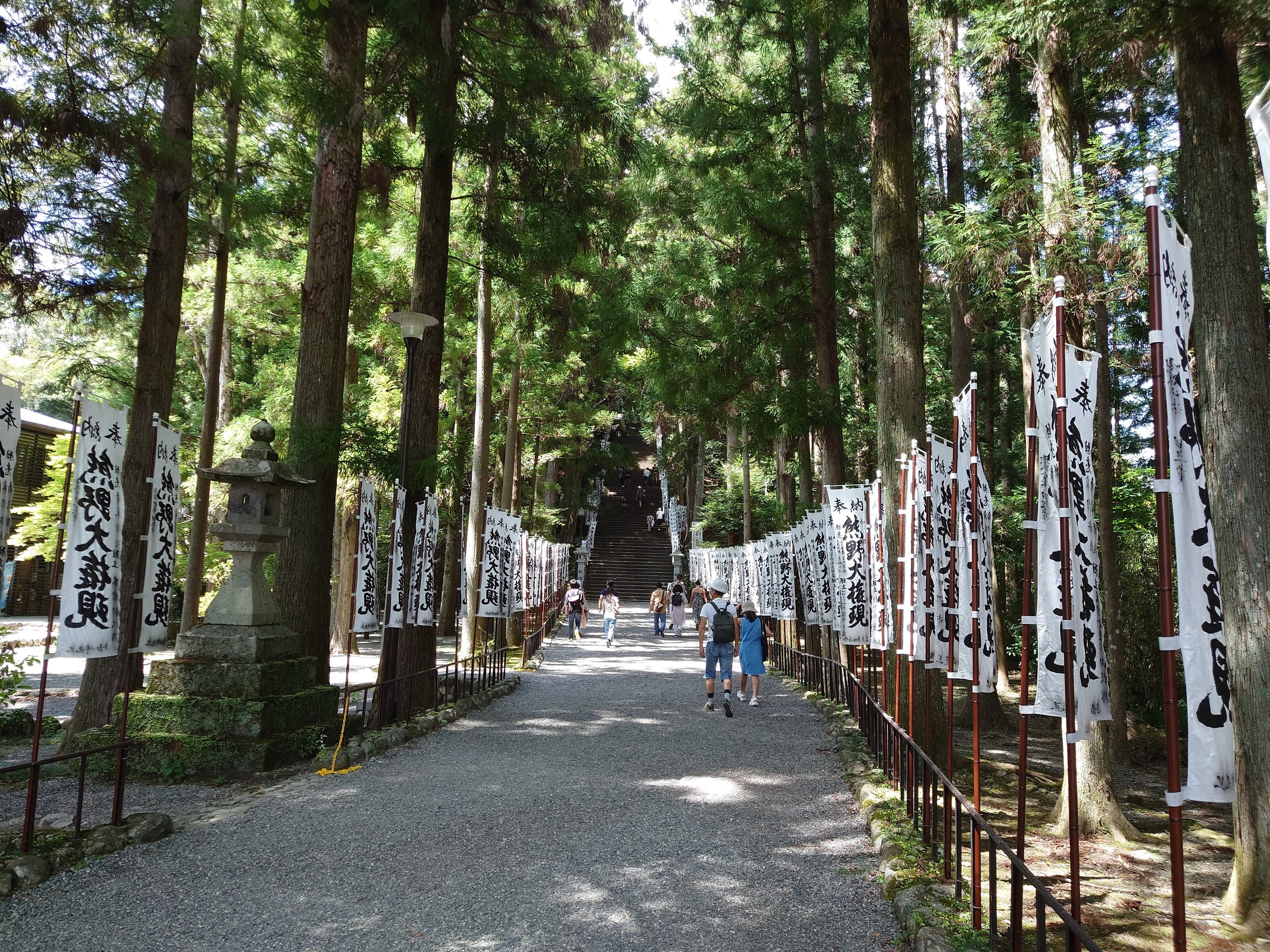 奉納ののぼりが両脇に並ぶ、杉木立の参道