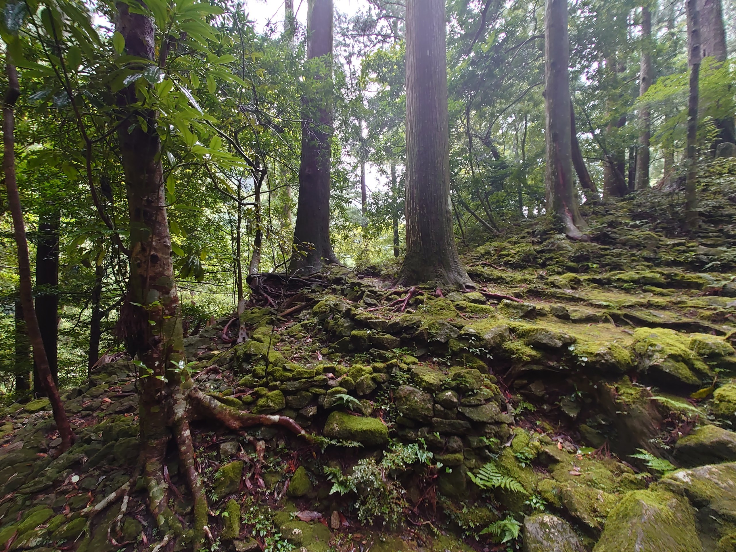 鳥居の向こうに見える、那智の滝