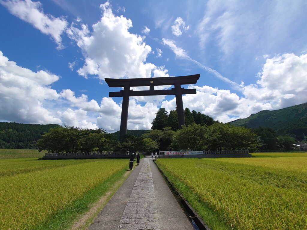 稲の田んぼの先に立つ、大斎原の大鳥居