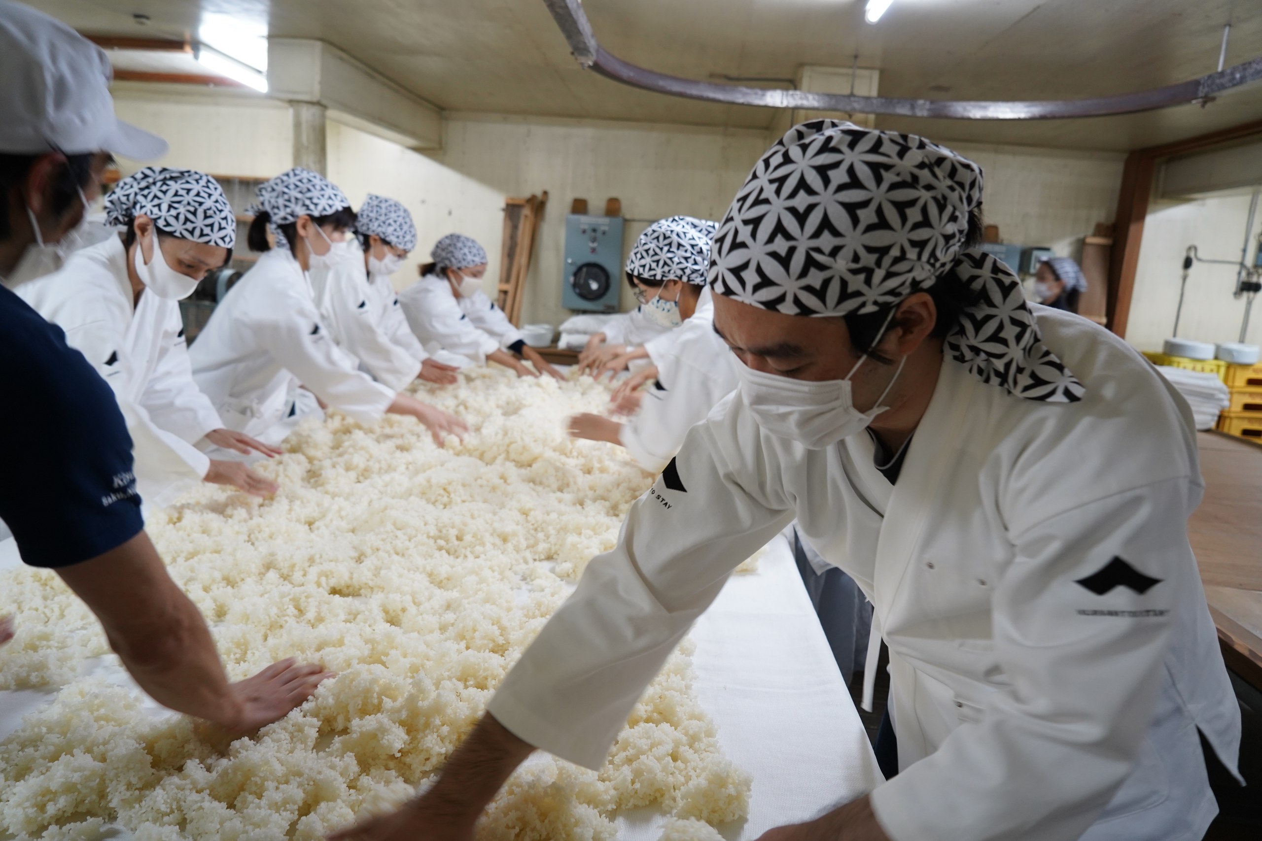 麹室で米に麹菌を混ぜる