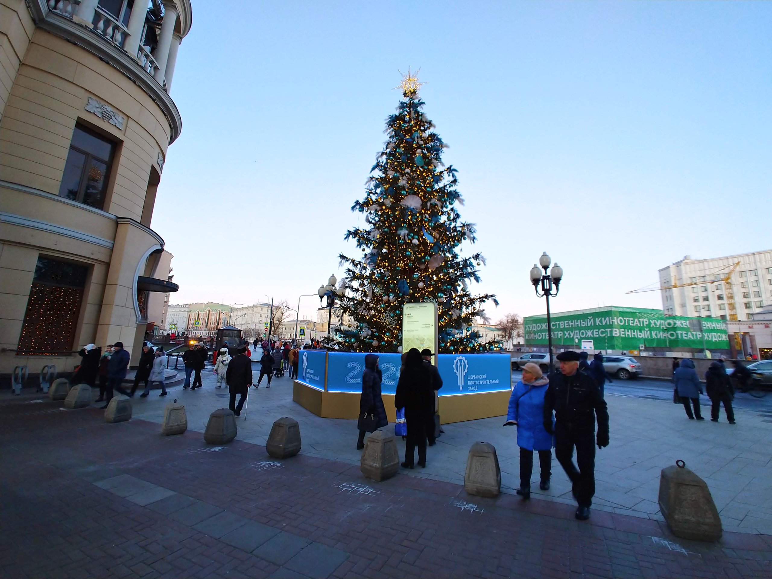 アルバート通りのクリスマスツリー