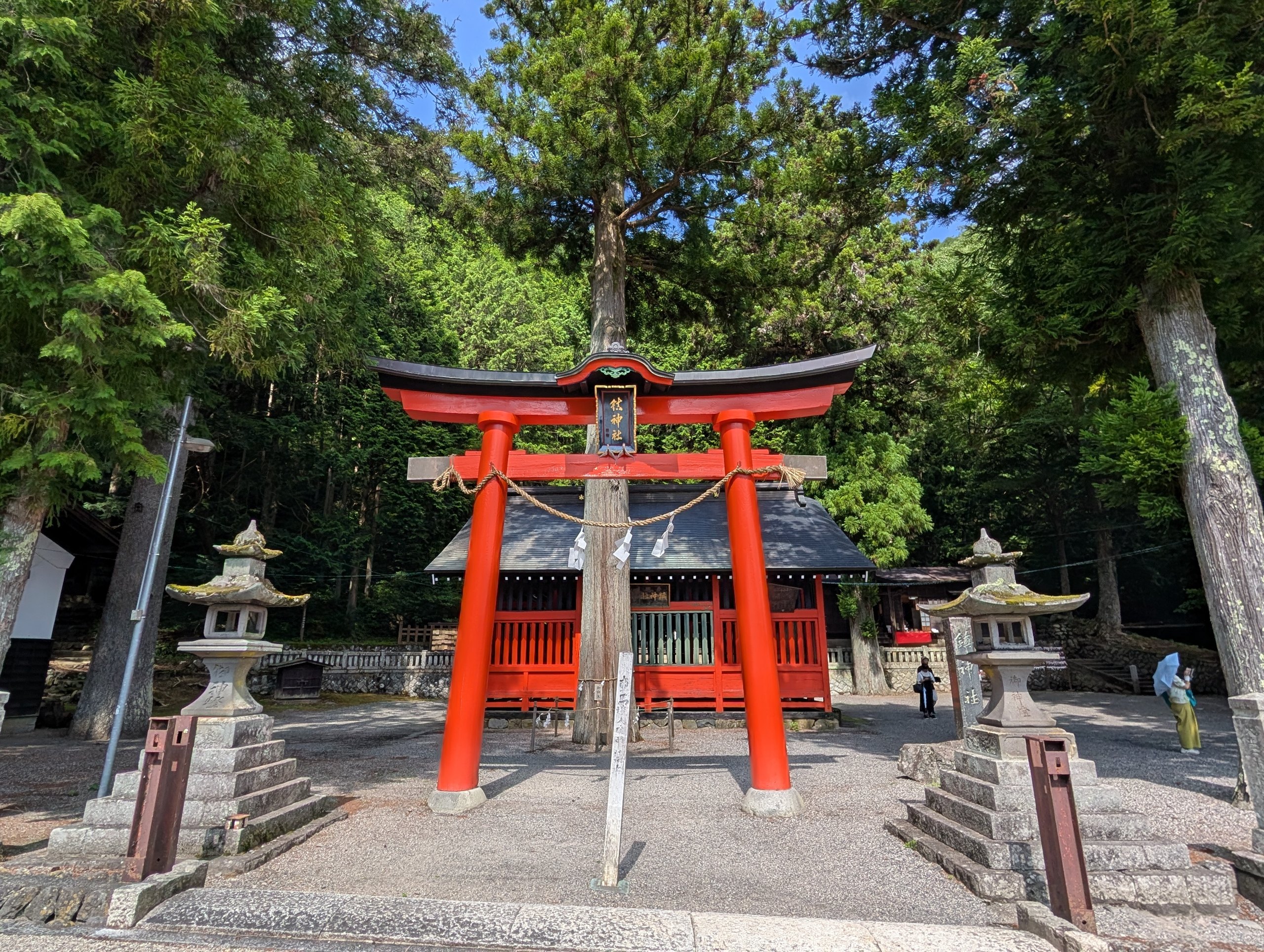 赤い鳥居と石灯籠、その奥の鎮神社