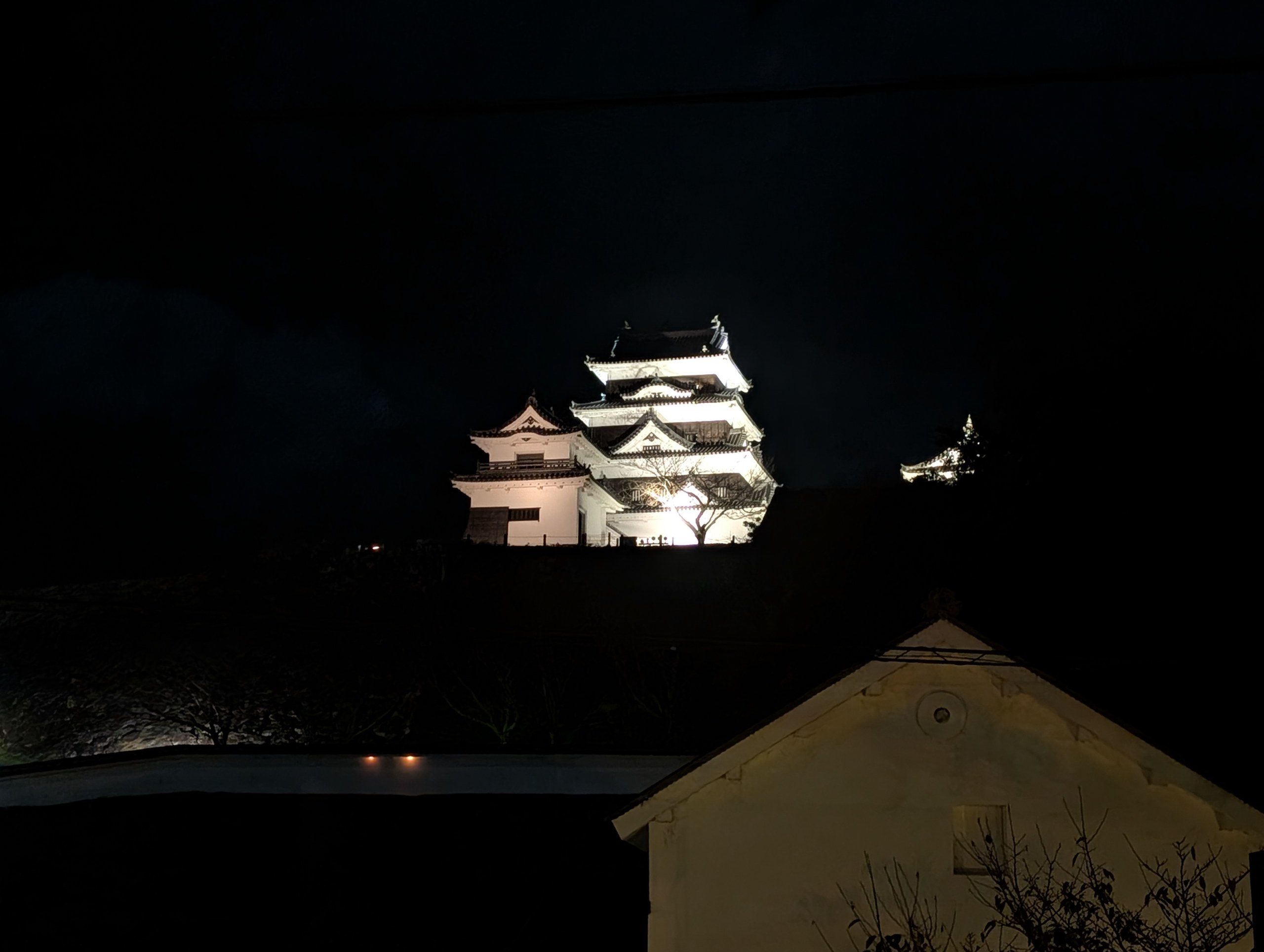 夜にライトアップされた大洲城