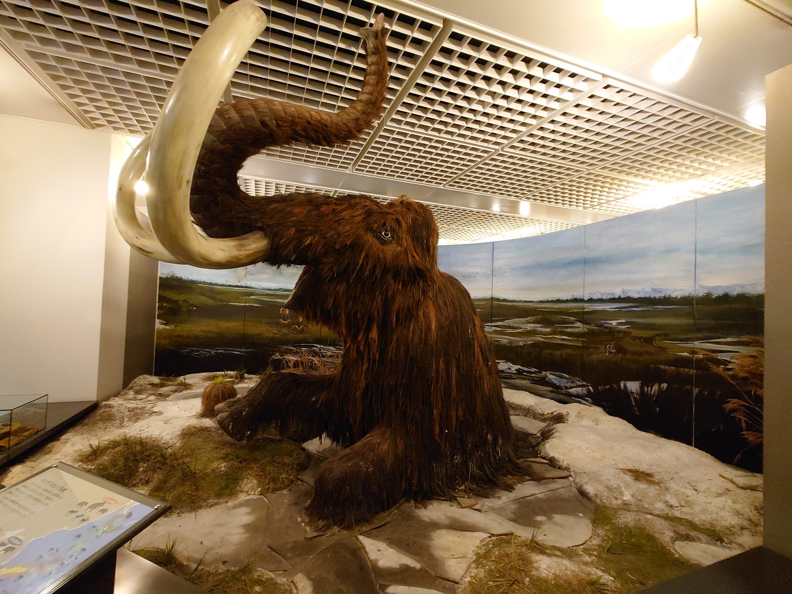 草原のジオラマに立つ大きなマンモスの模型