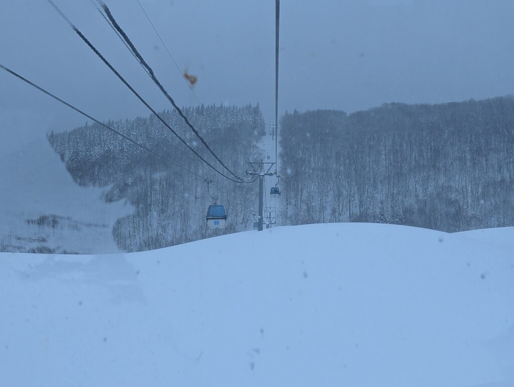 雪の斜面の上を行き来するゴンドラと、雪をかぶった森