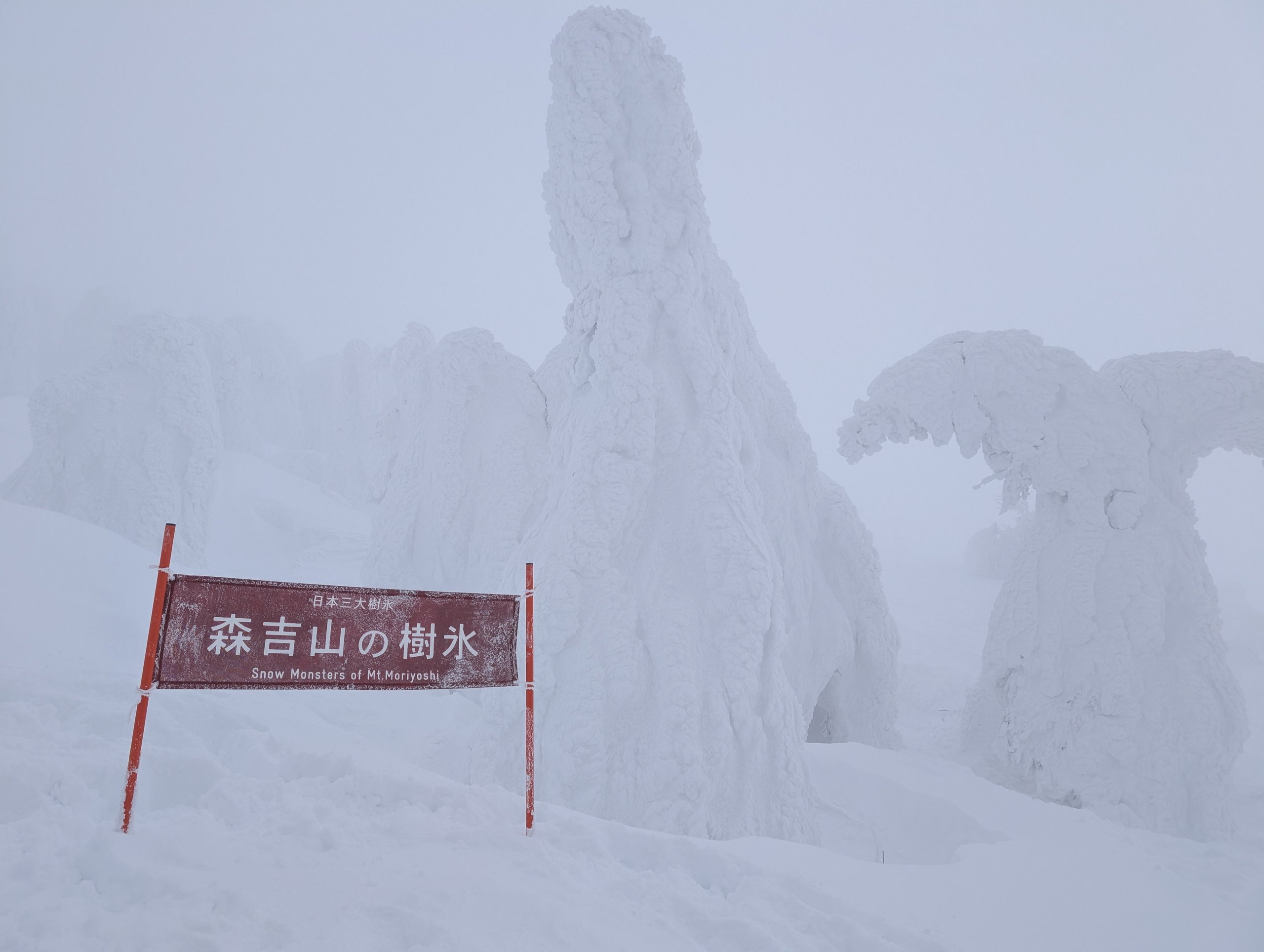 「森吉山の樹氷」の看板の後ろに立つ、雪と氷に覆われた木々