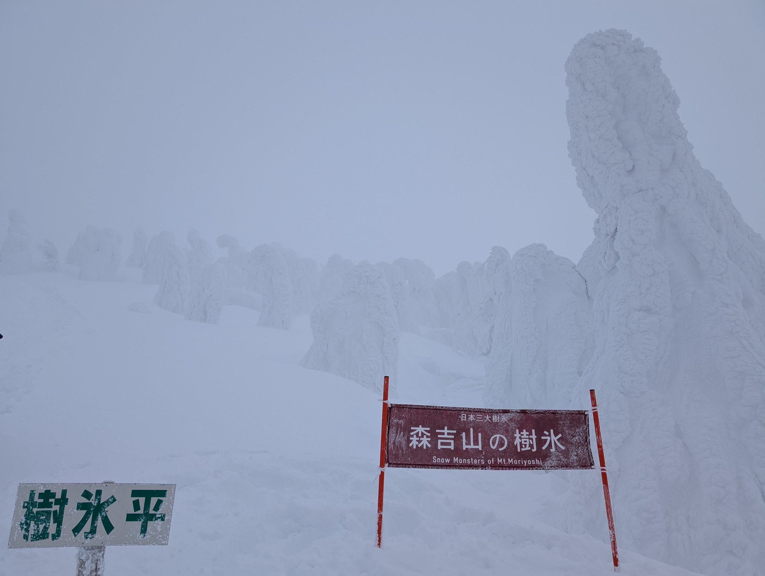「樹氷平」の標識と、霧の中にそびえる大きな樹氷