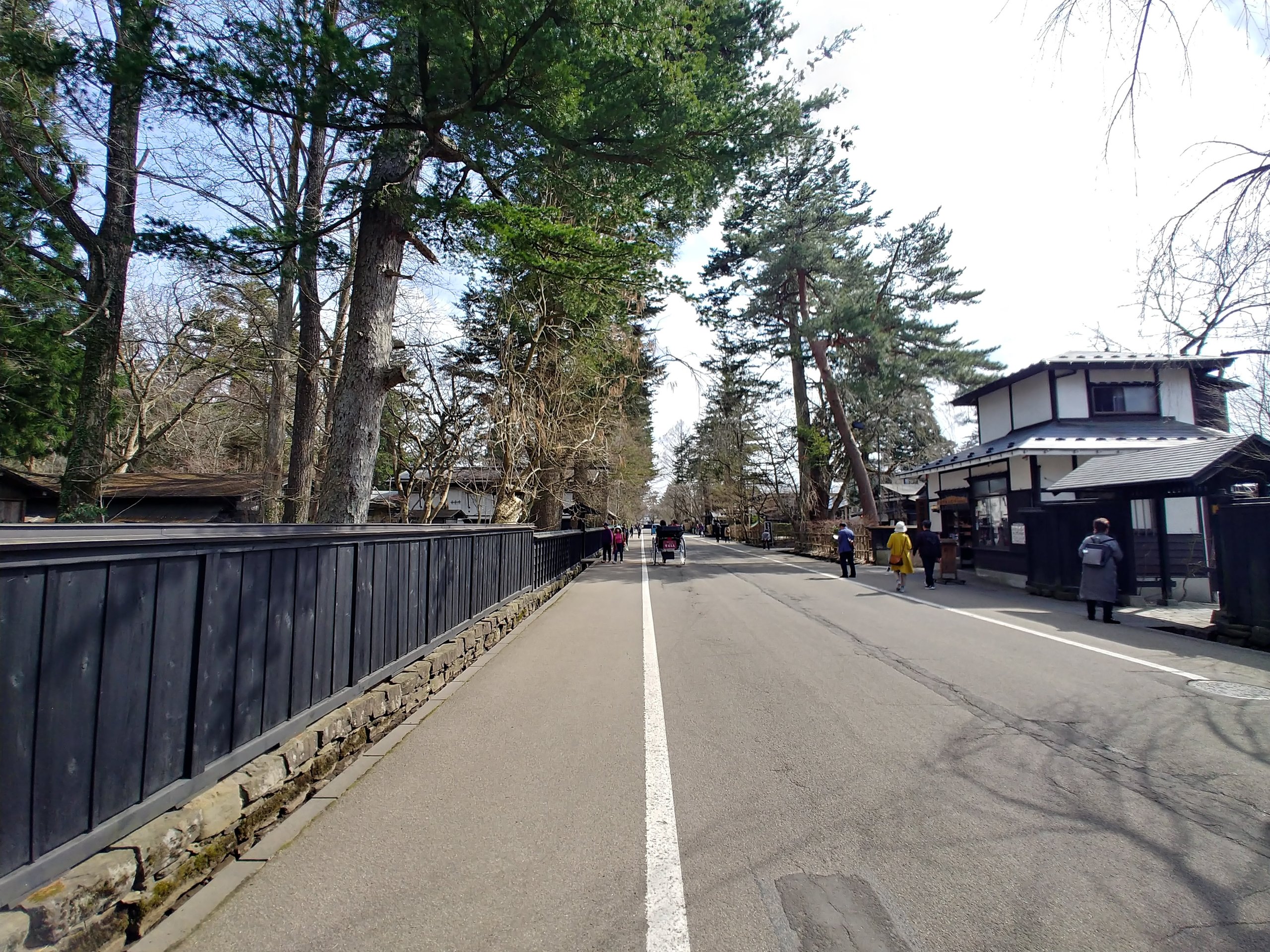 黒い板塀と大木が続く角館の武家屋敷通り