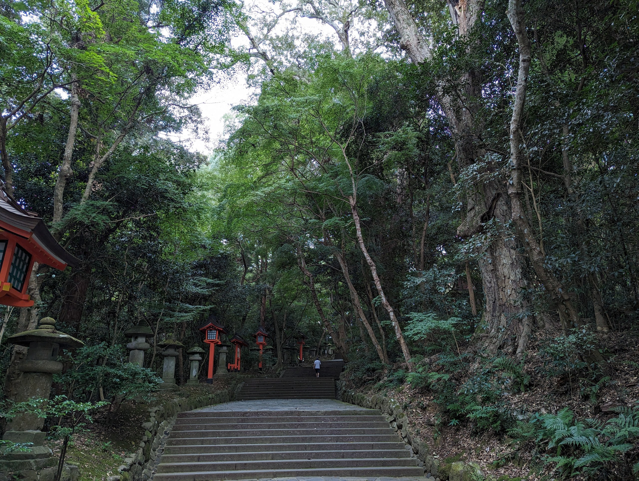 木々に囲まれた石段の参道
