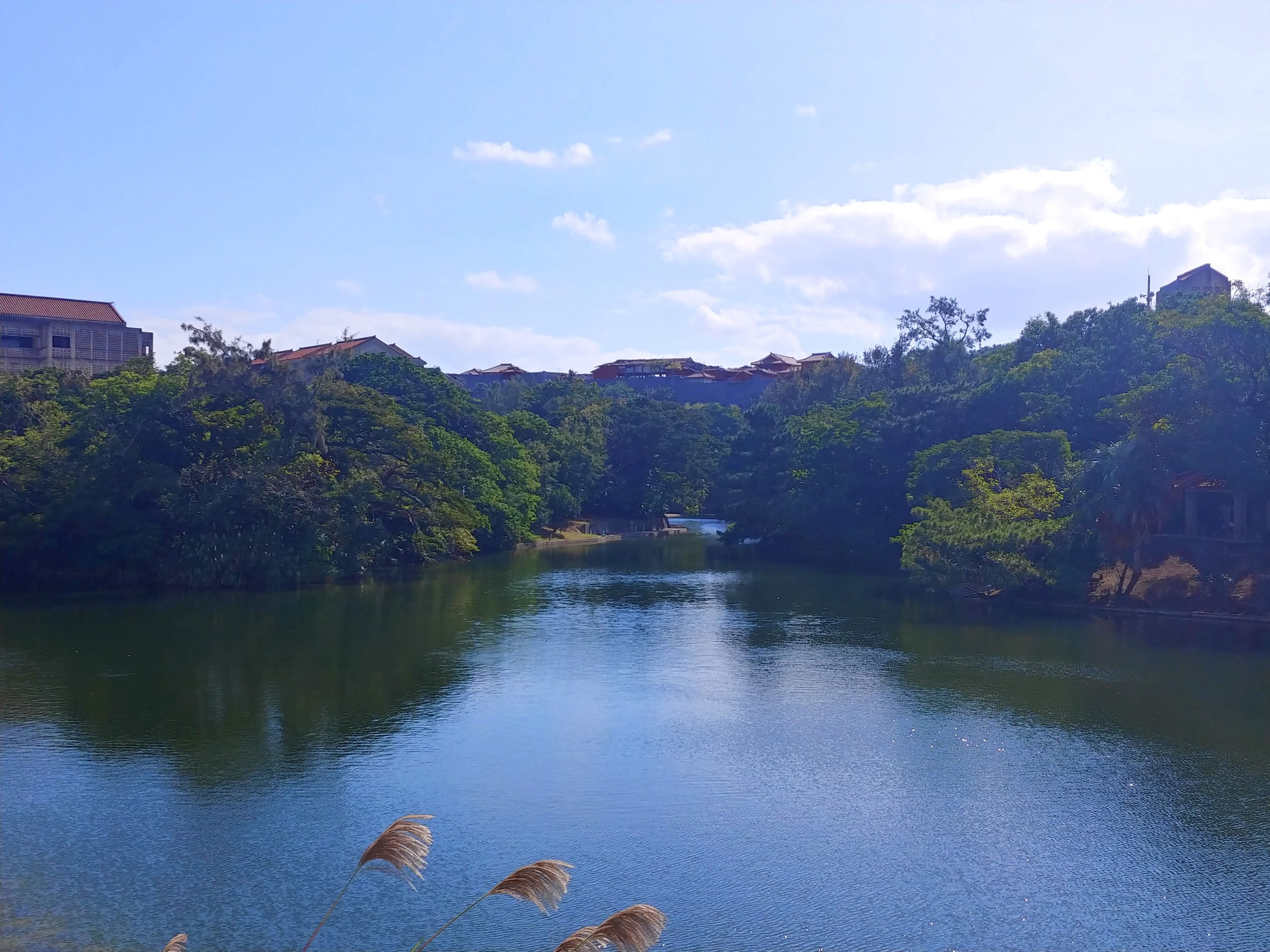 龍潭の池と首里城の森