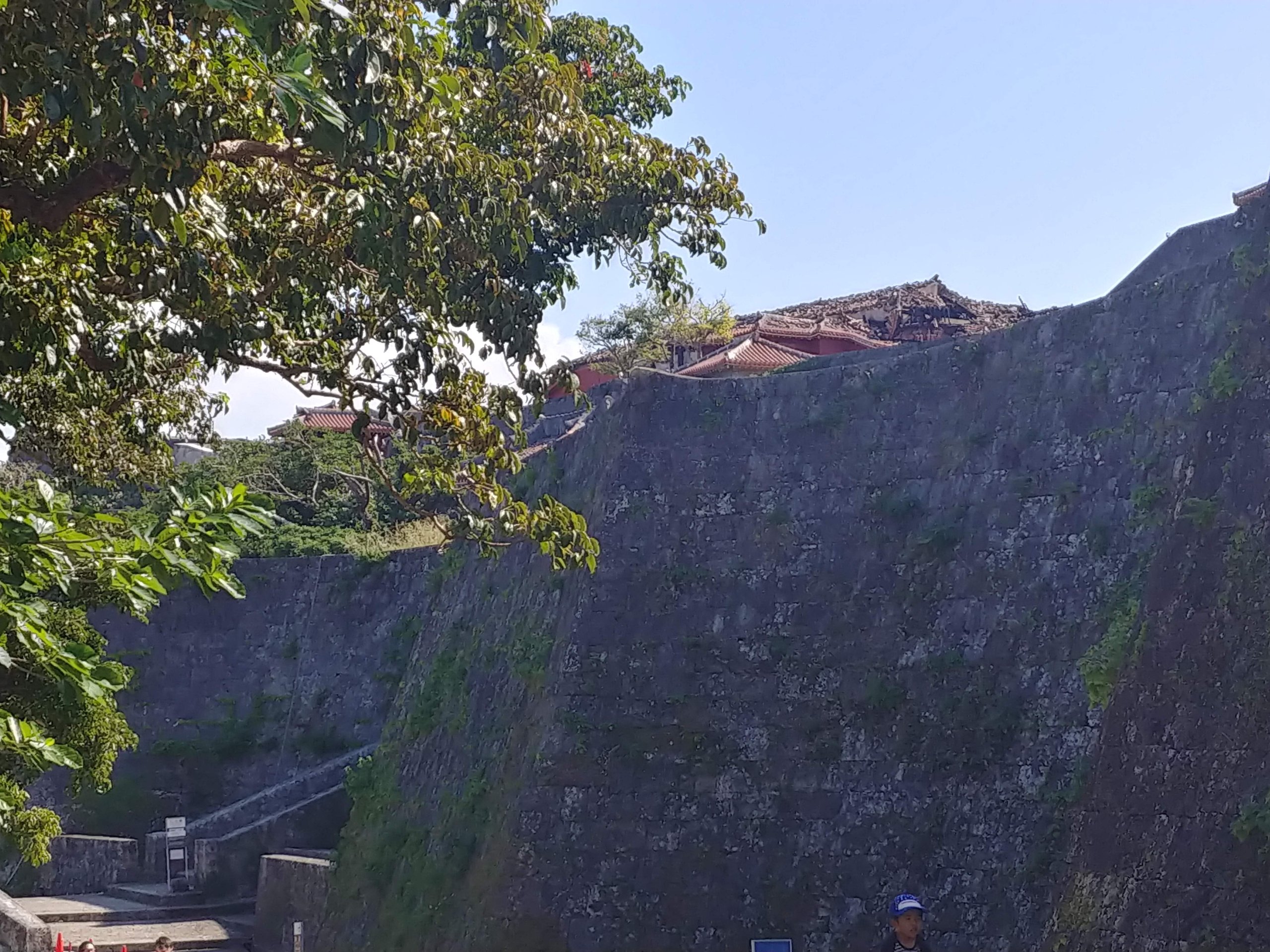 城壁の向こうに見える焼けた建物