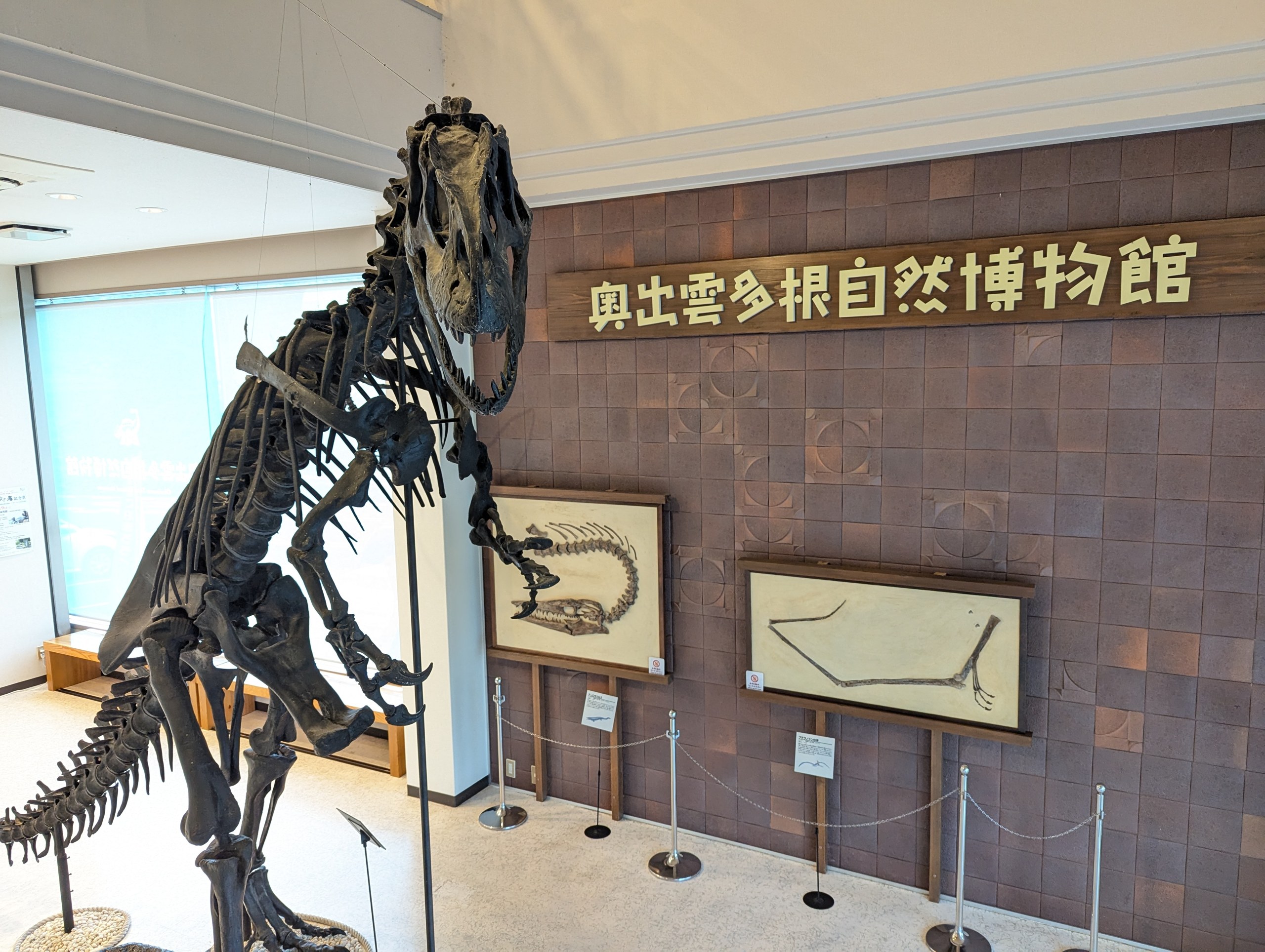 「奥出雲多根自然博物館」の館名の前に立つ恐竜の全身骨格と、壁に掛かった化石の標本