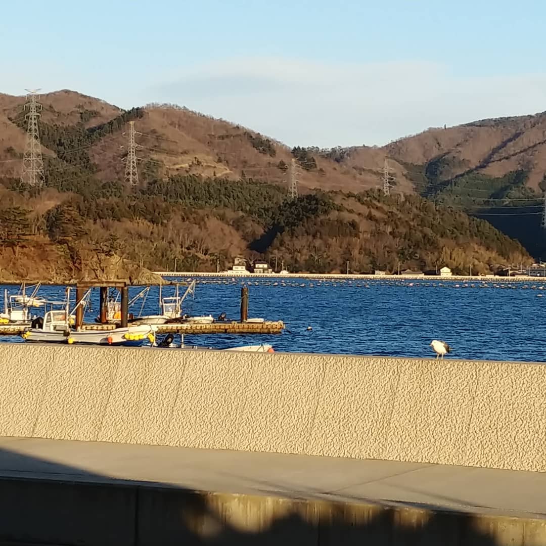 漁船が並ぶ女川の港と山並み