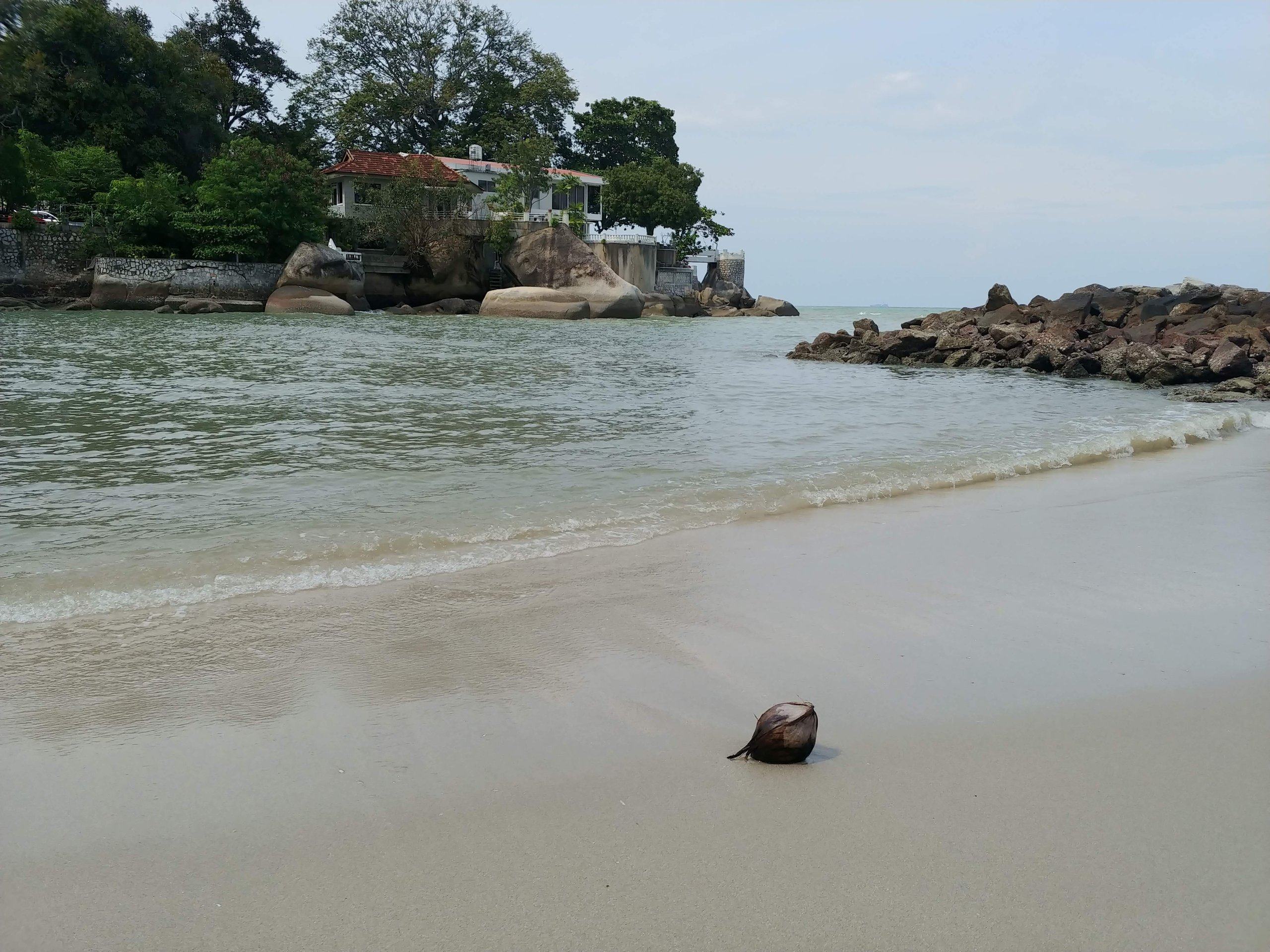 波打ち際に流れ着いたヤシの実