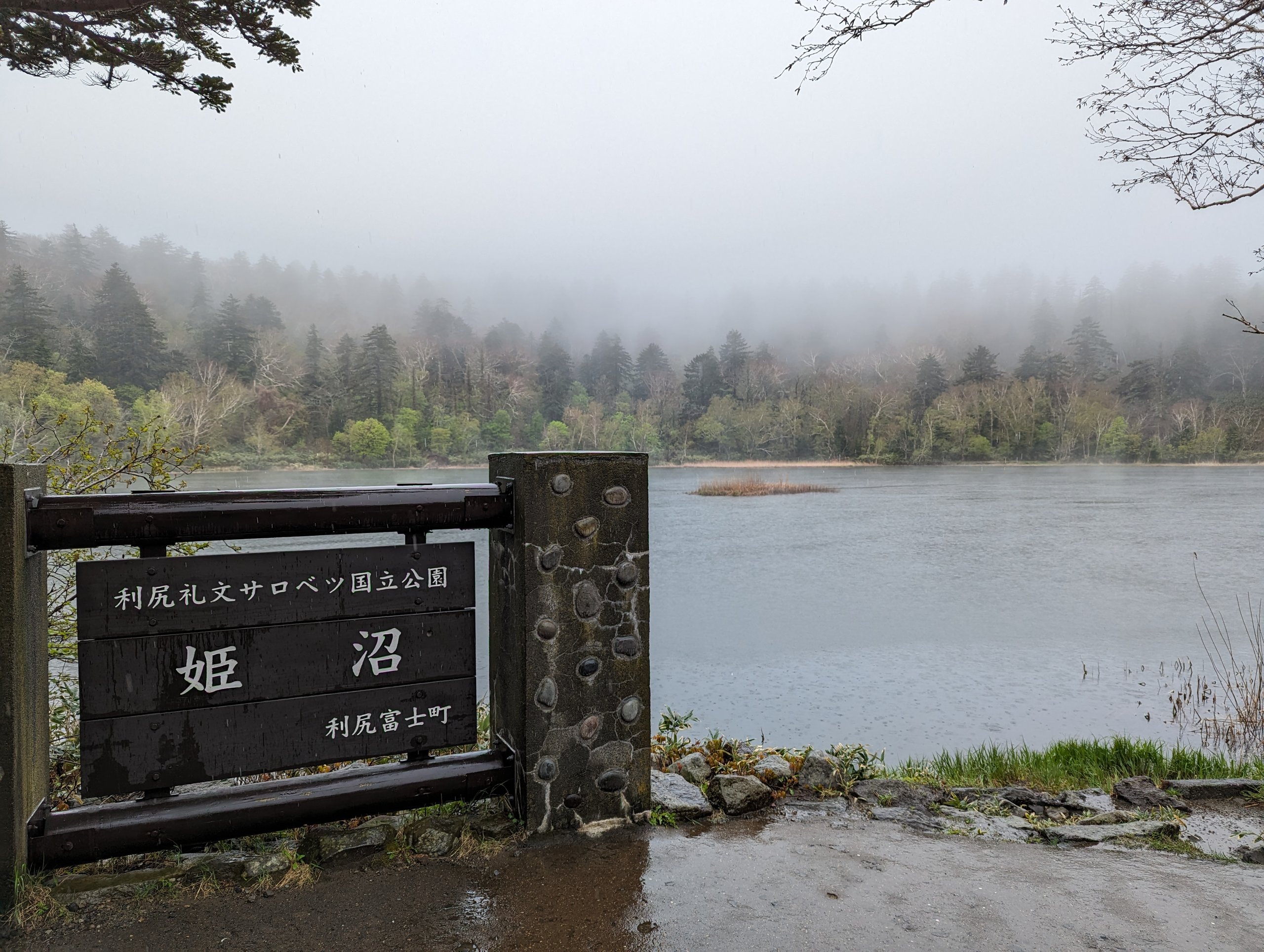 霧に包まれた、雨の姫沼