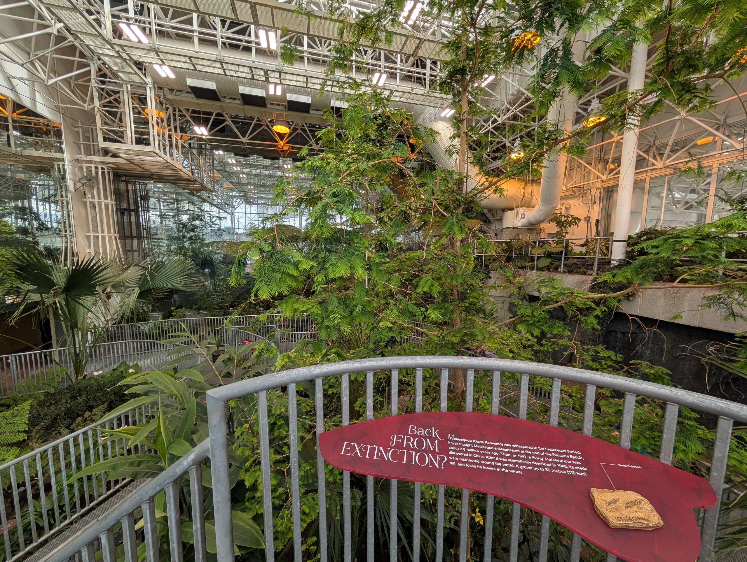 ガラス屋根の下に植物が茂る温室の展示と、「Back from EXTINCTION?」の案内