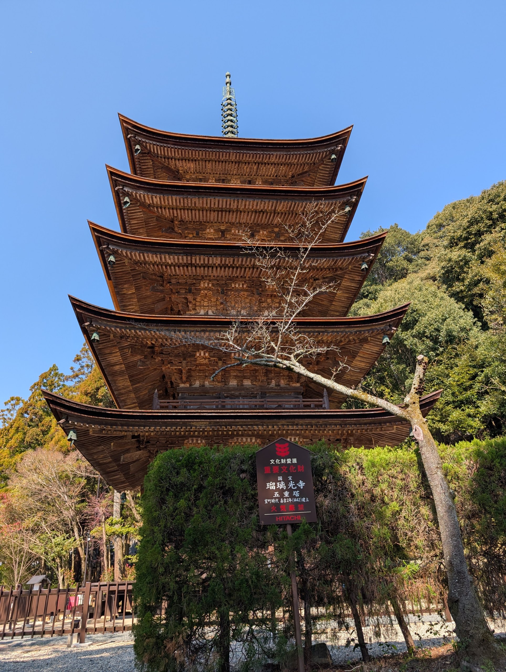 「国宝 瑠璃光寺五重塔」の札と五重塔