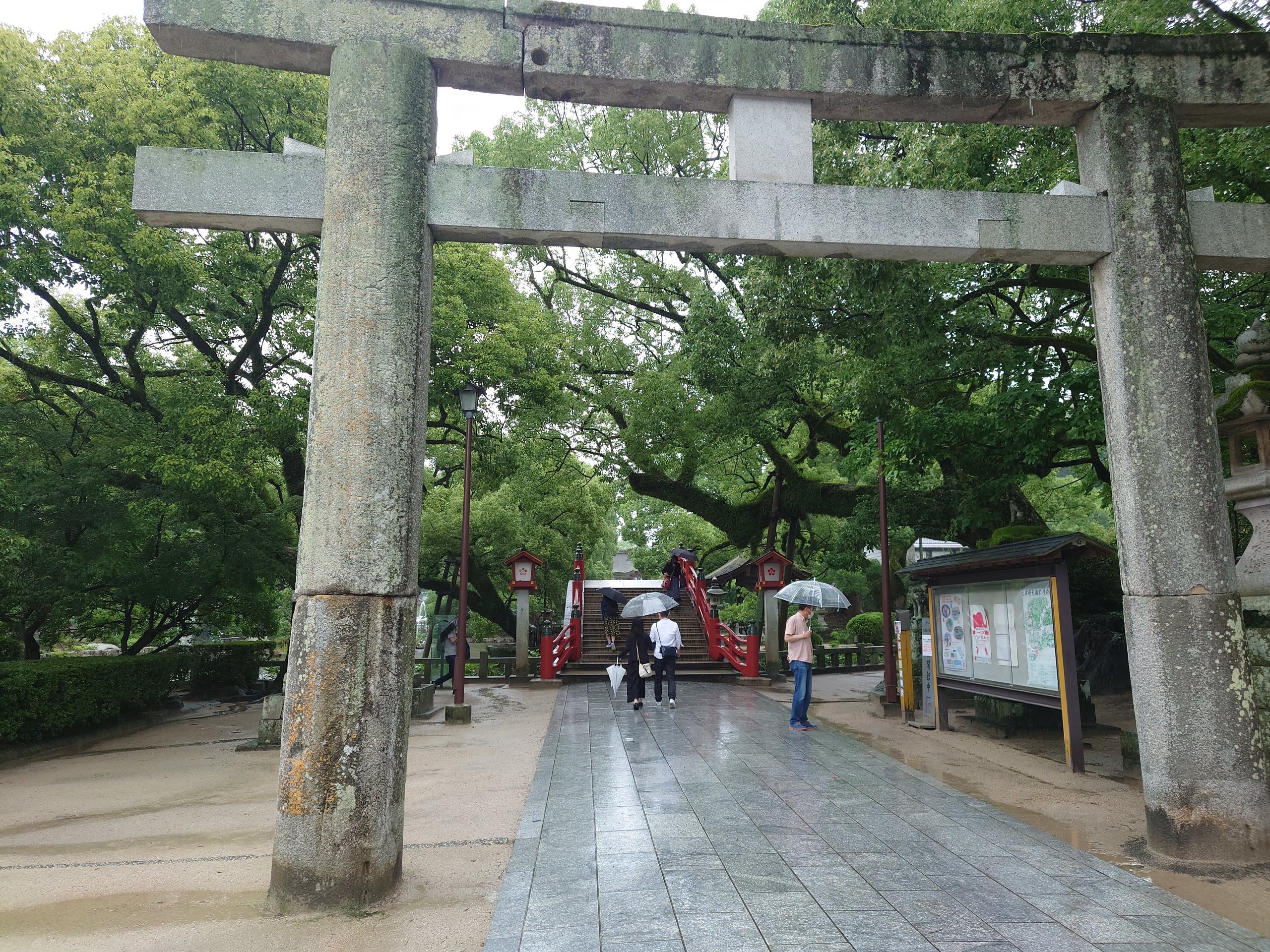大きな楠と石の鳥居
