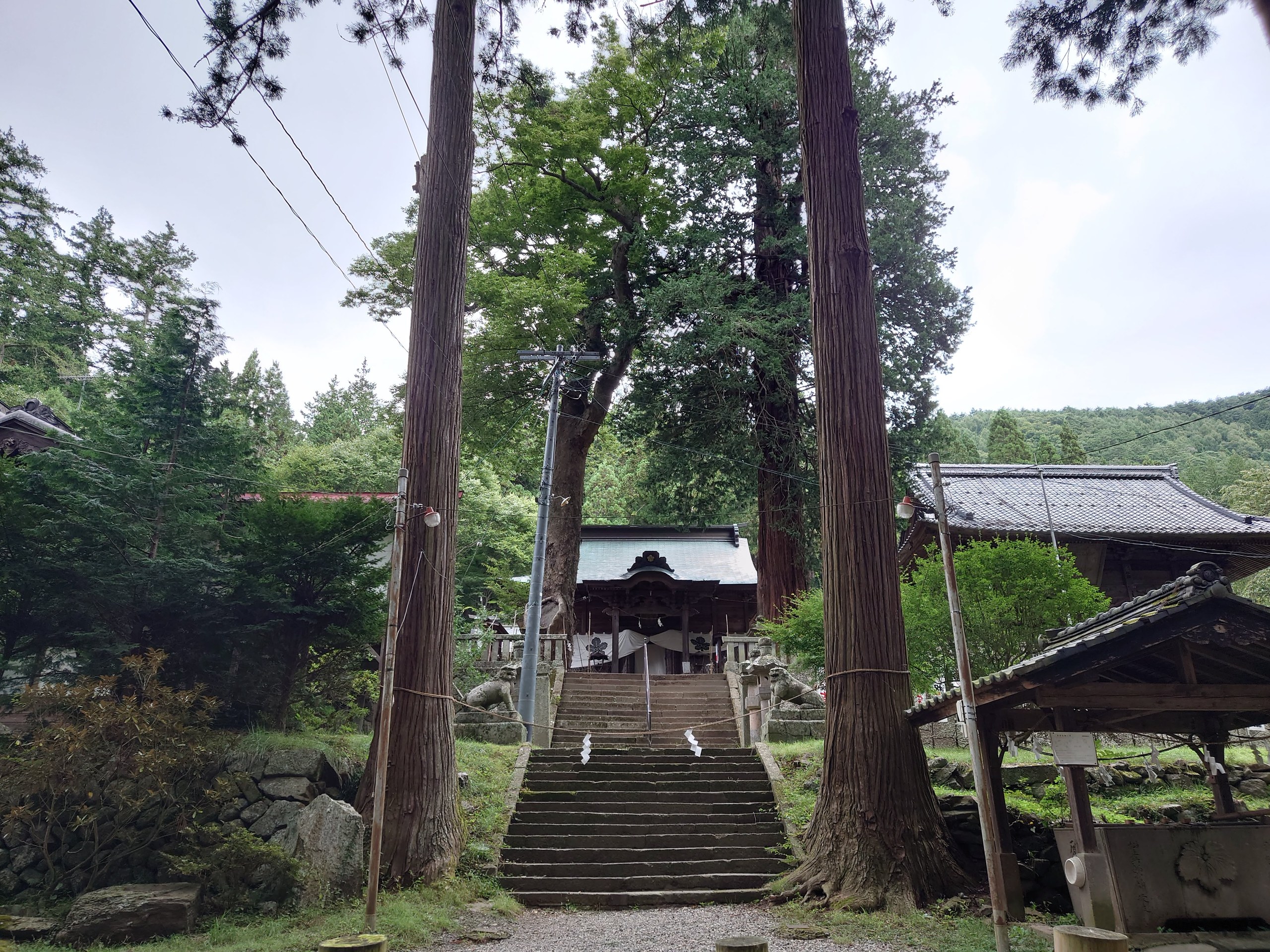 杉の大木と石段の先の社殿