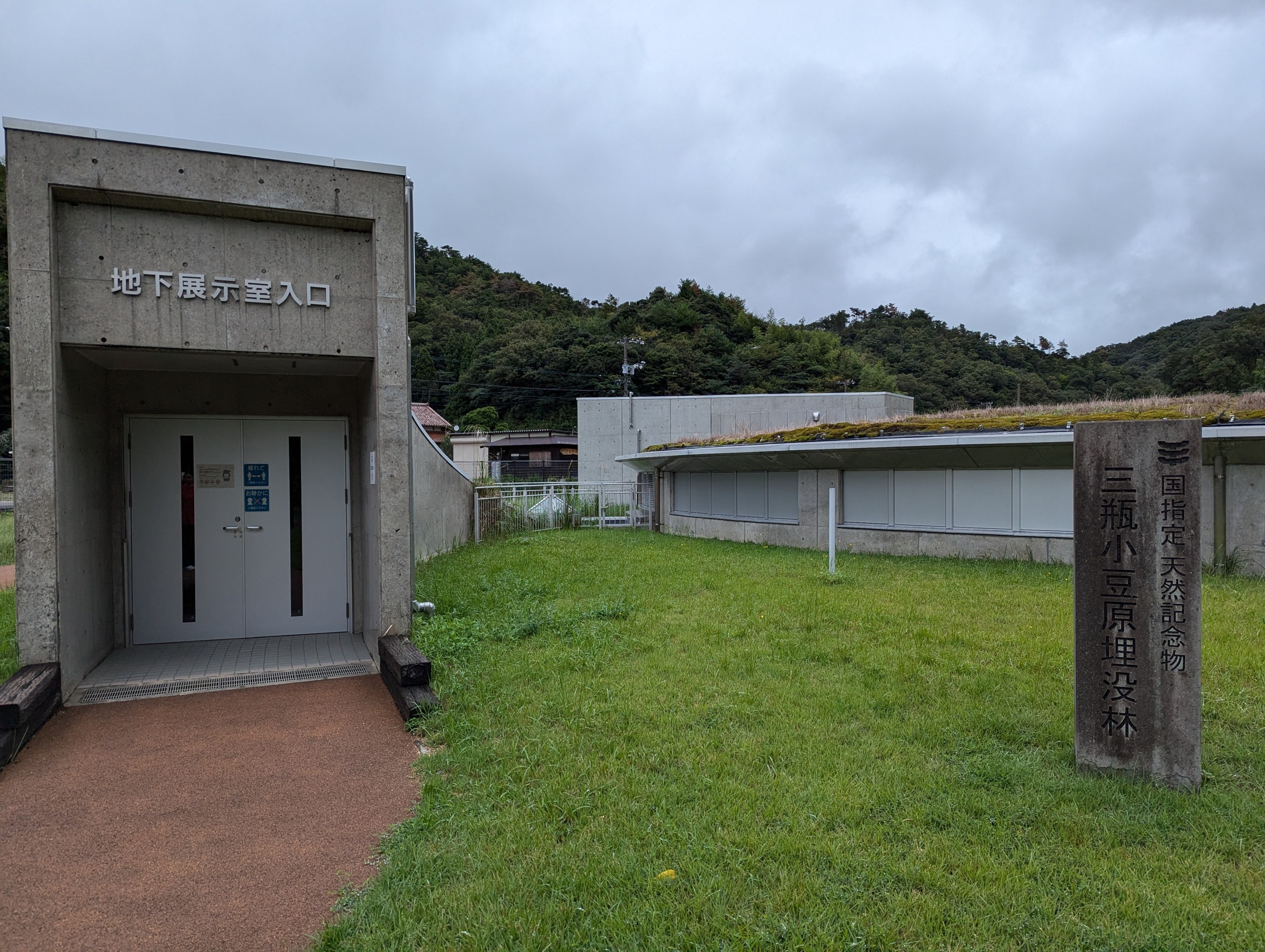 コンクリートの「地下展示室入口」と、「国指定天然記念物 三瓶小豆原埋没林」の石柱