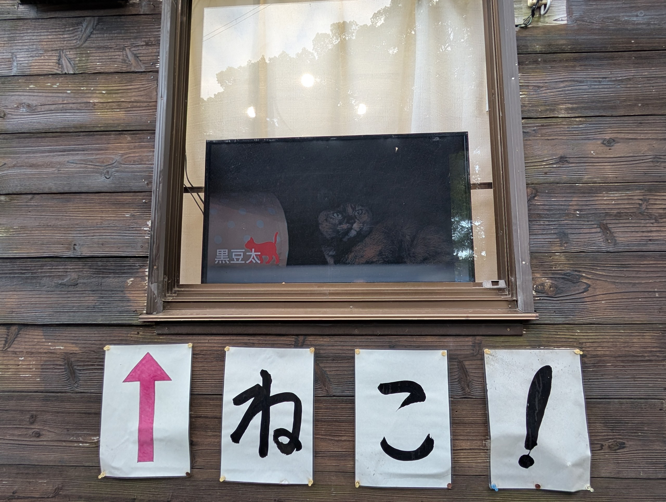 窓の下の「↑ねこ!」の貼り紙