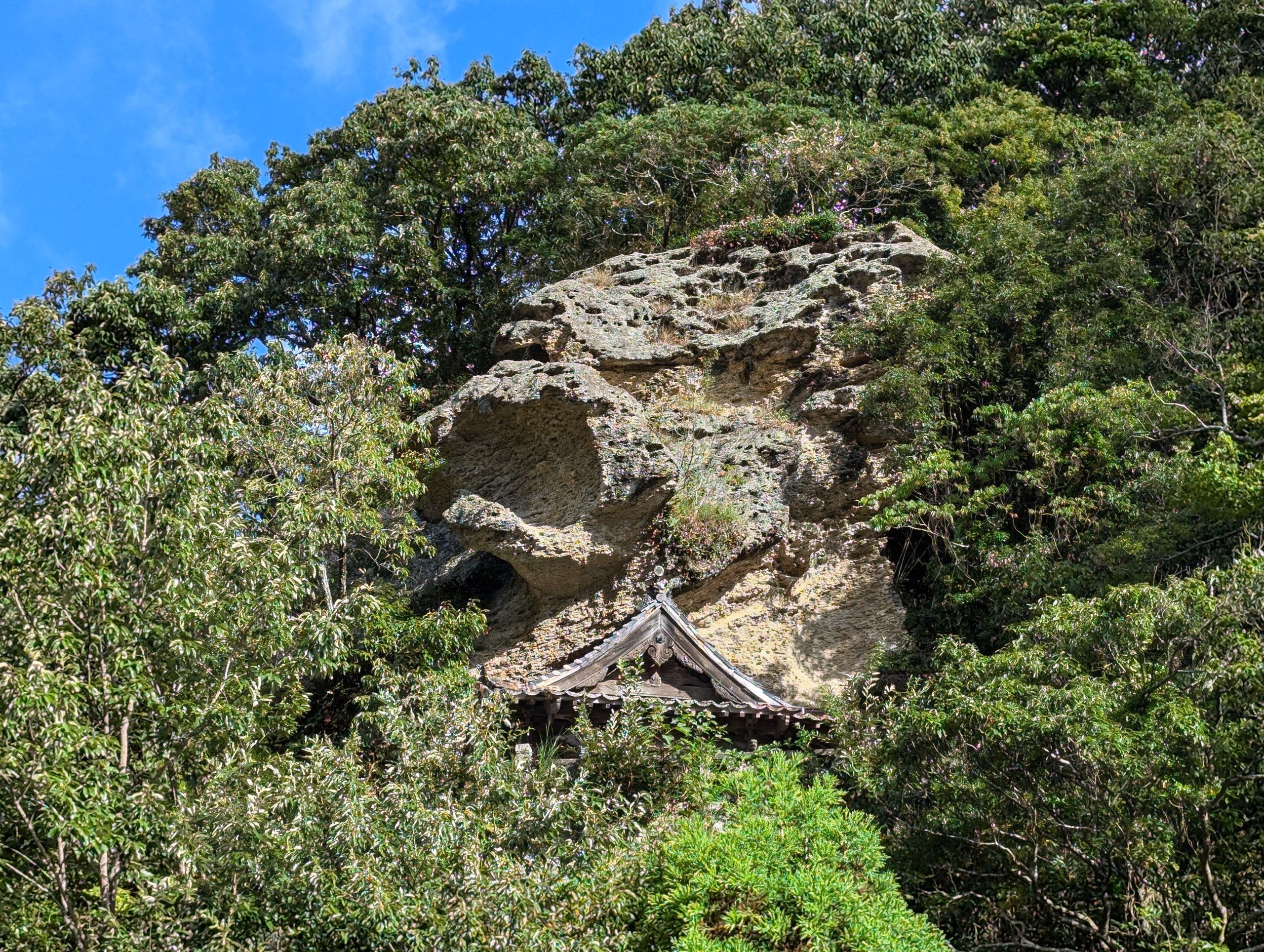 青空の下、木々の間の崖から突き出す龍の顔のような巨岩と、その下に見える龍御前神社の社殿の屋根