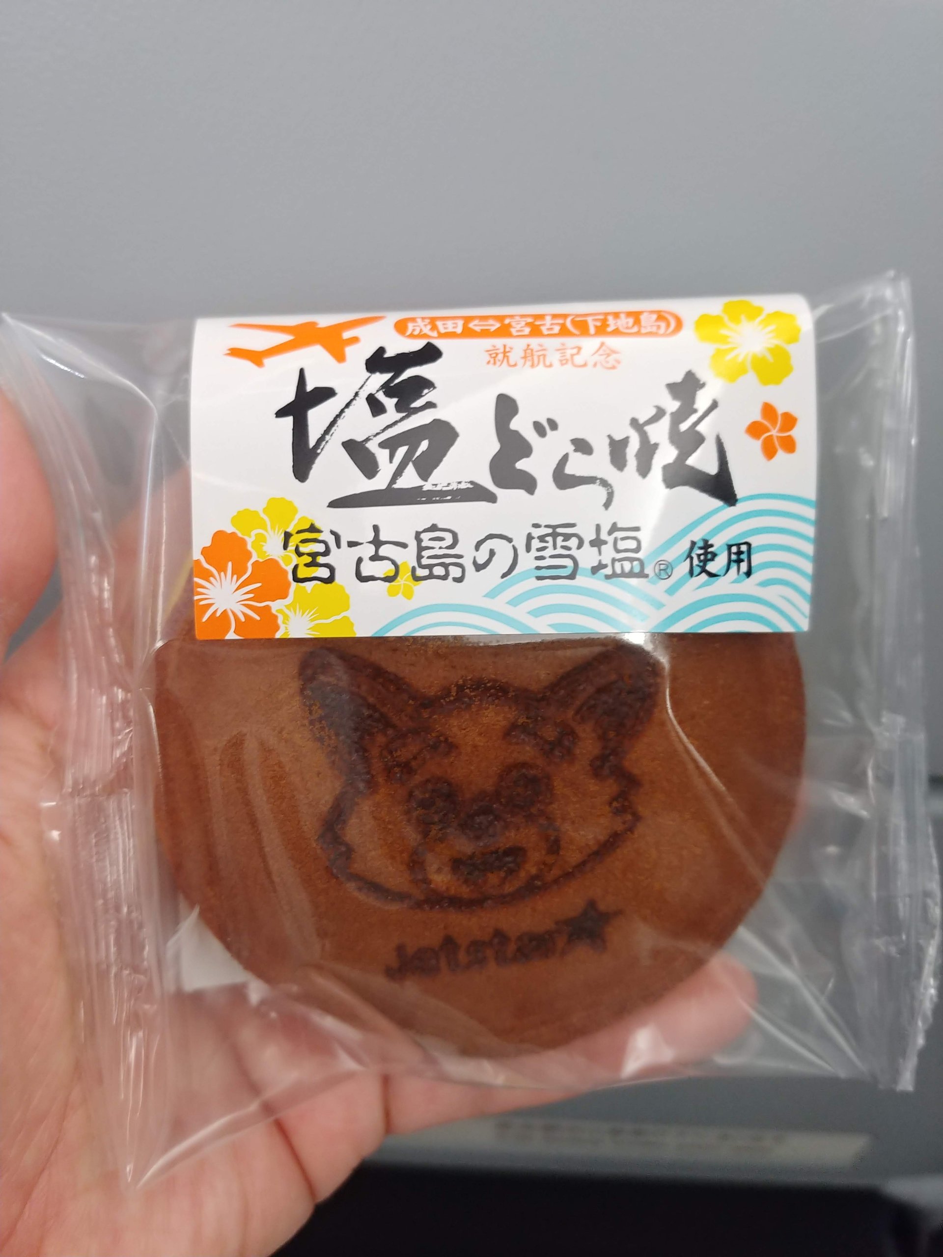就航記念にもらった「塩どら焼」