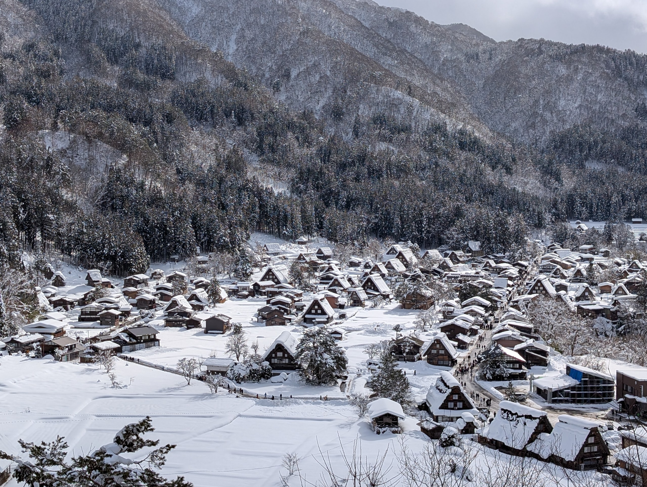 展望台から見下ろした、雪の白川郷