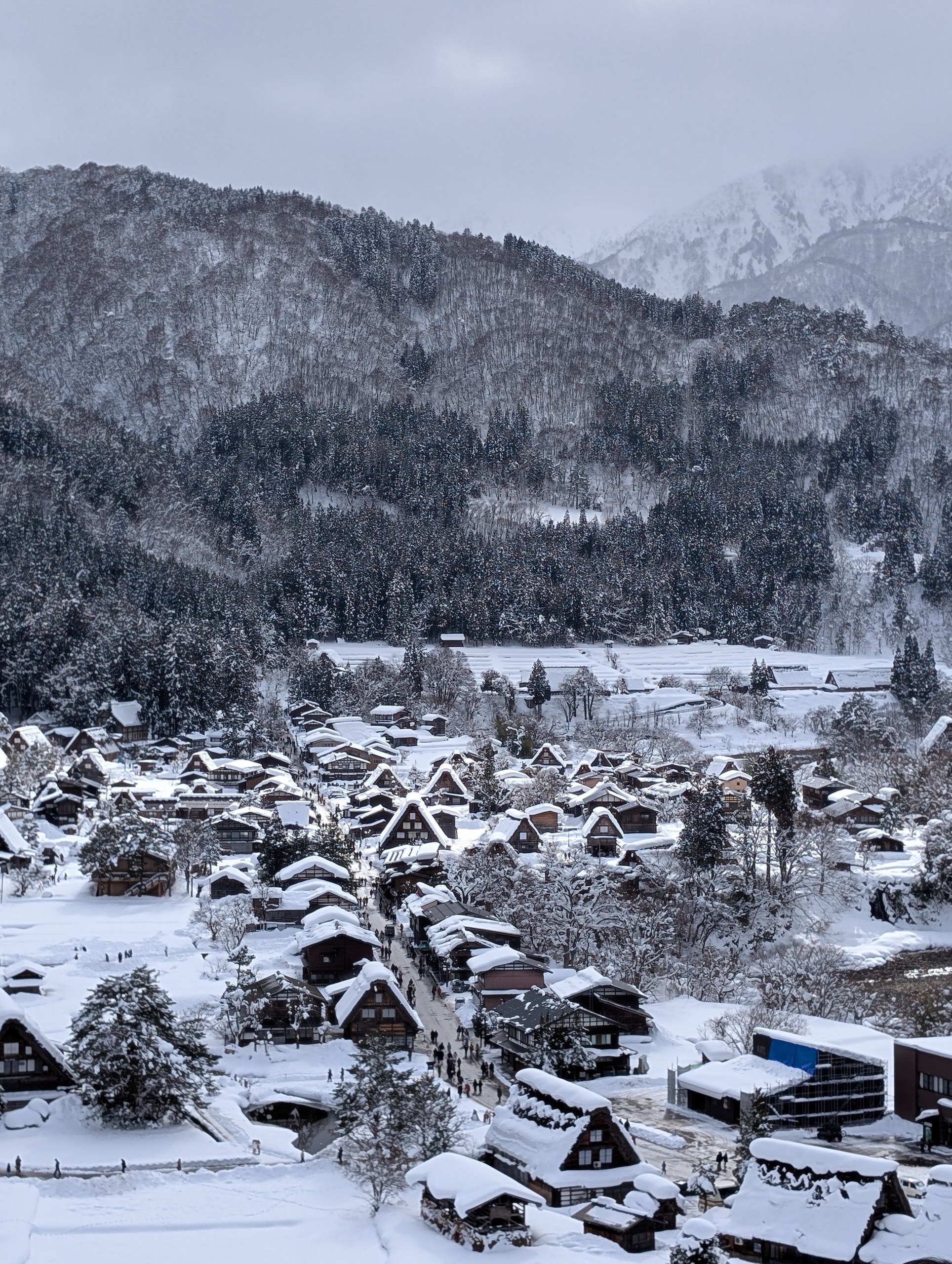 山あいに広がる、合掌造りの集落