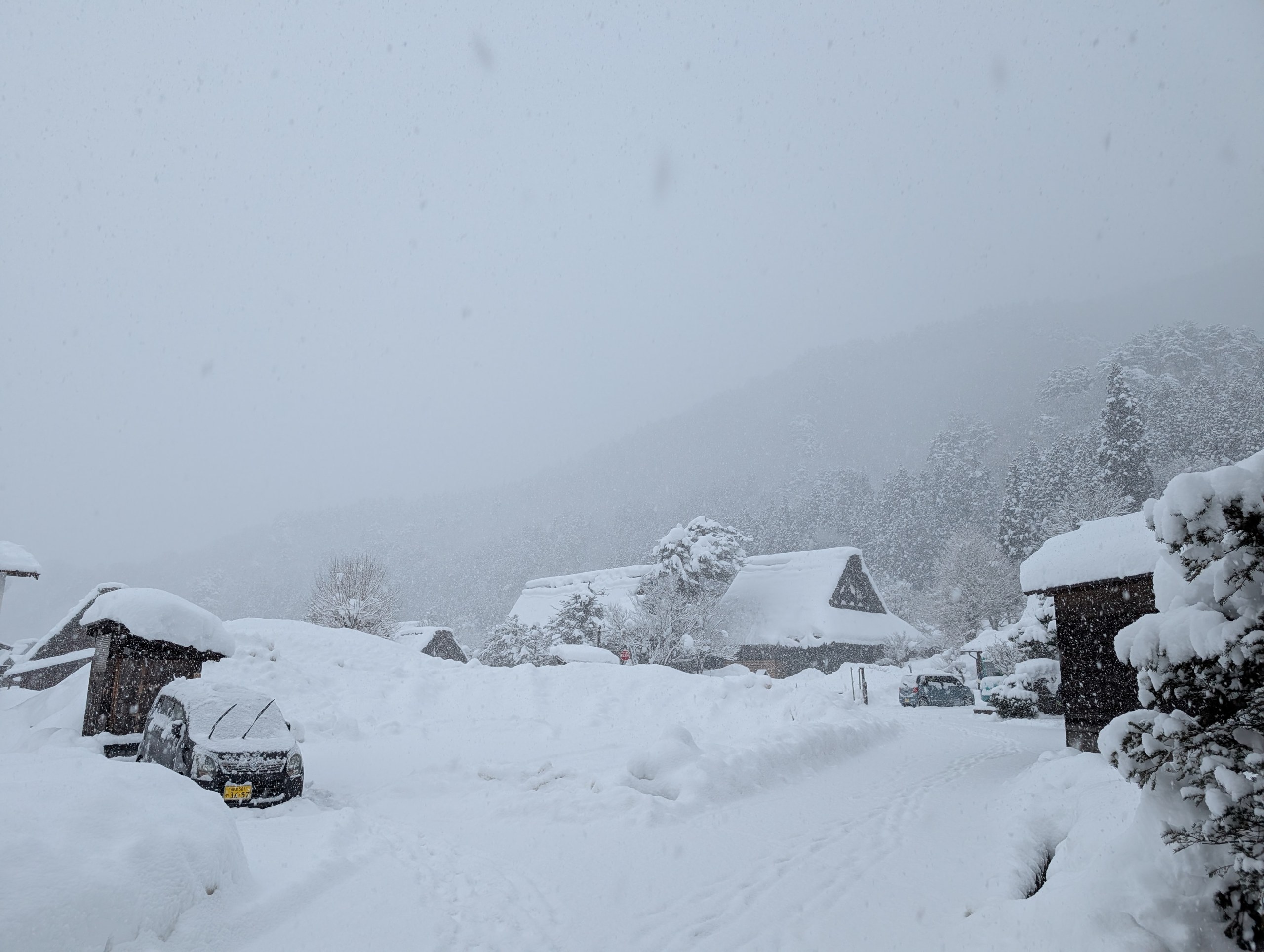 雪が降る朝の、集落の道