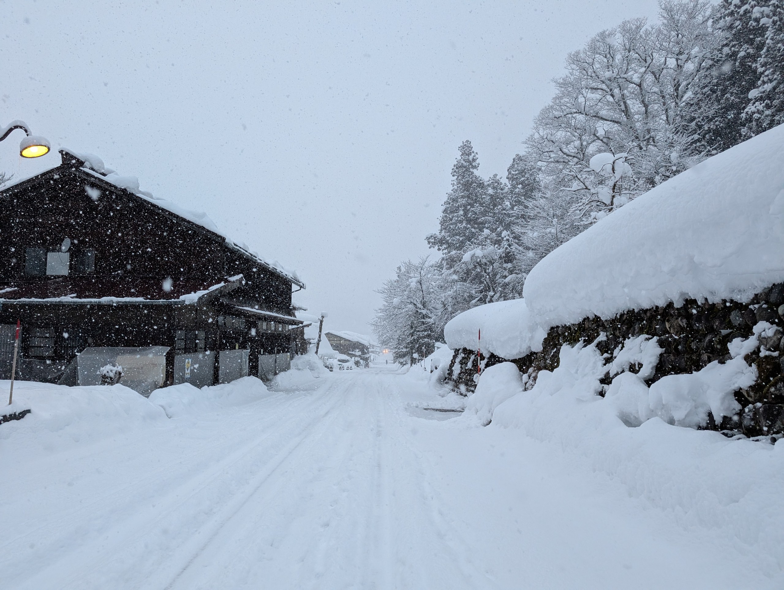 雪の降る朝の、集落の道