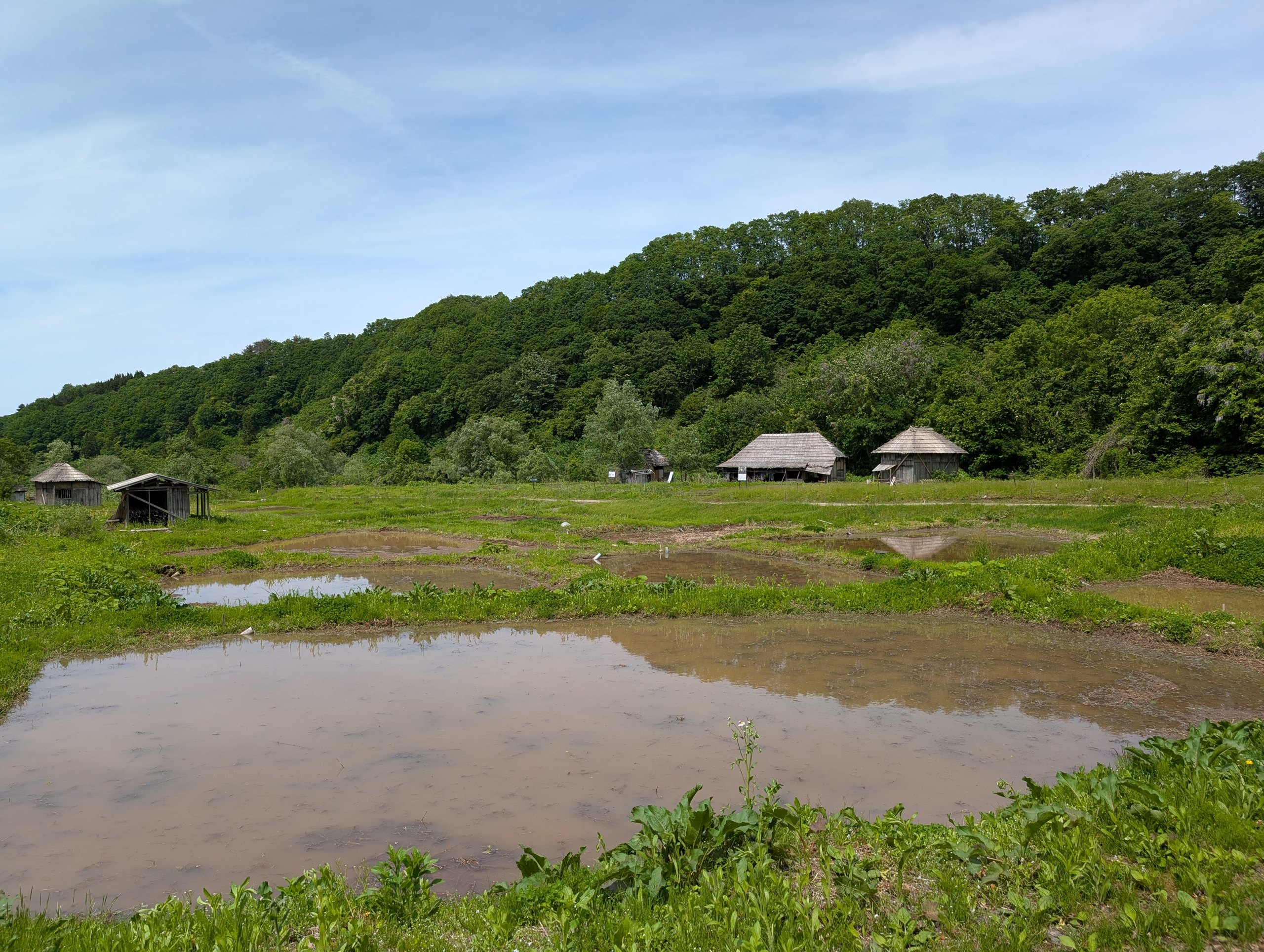 田んぼの向こうに、かやぶき屋根の家が並ぶ農村のセット