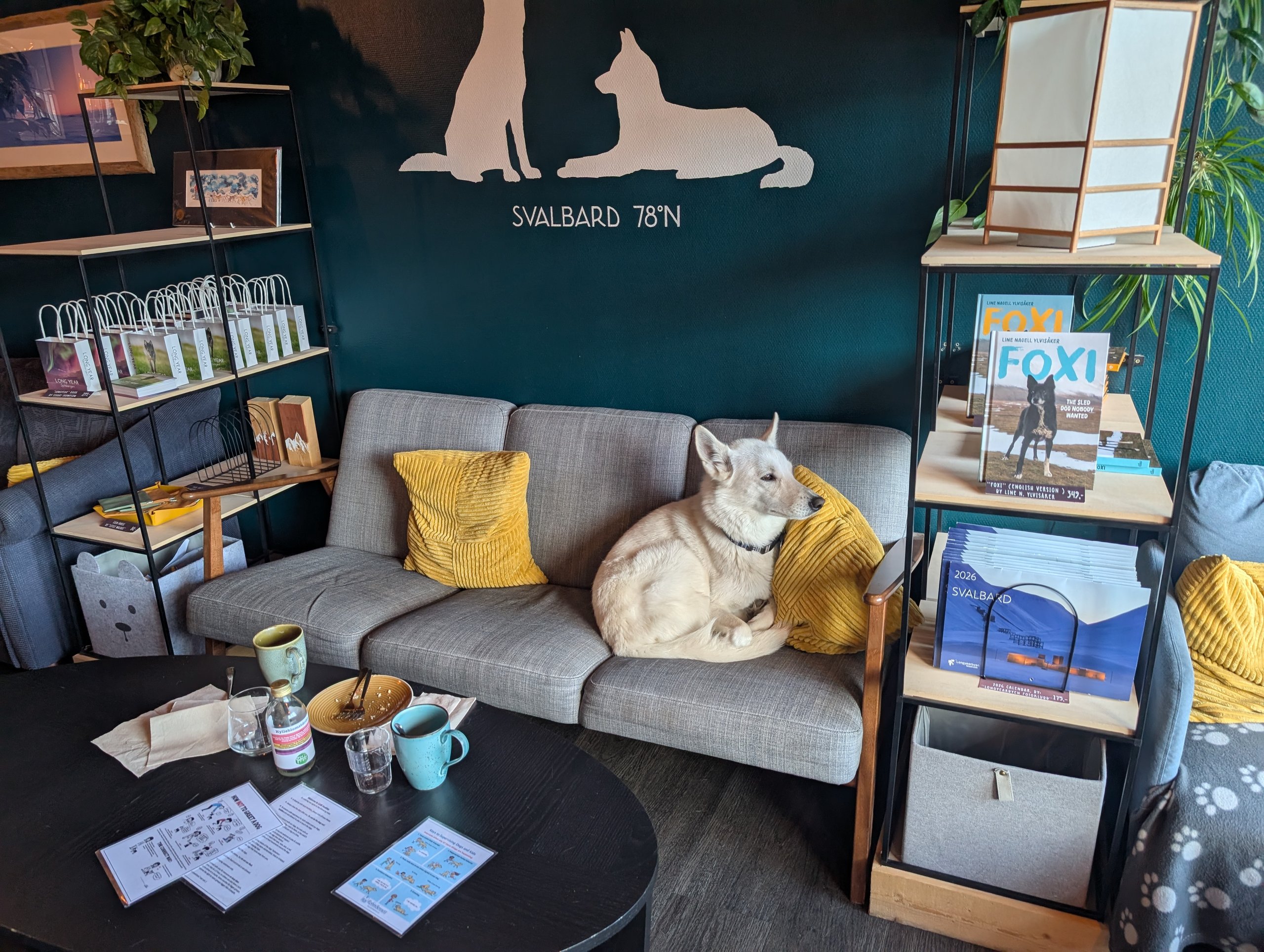 ソファでくつろぐ白い犬と、「SVALBARD 78°N」の文字の壁