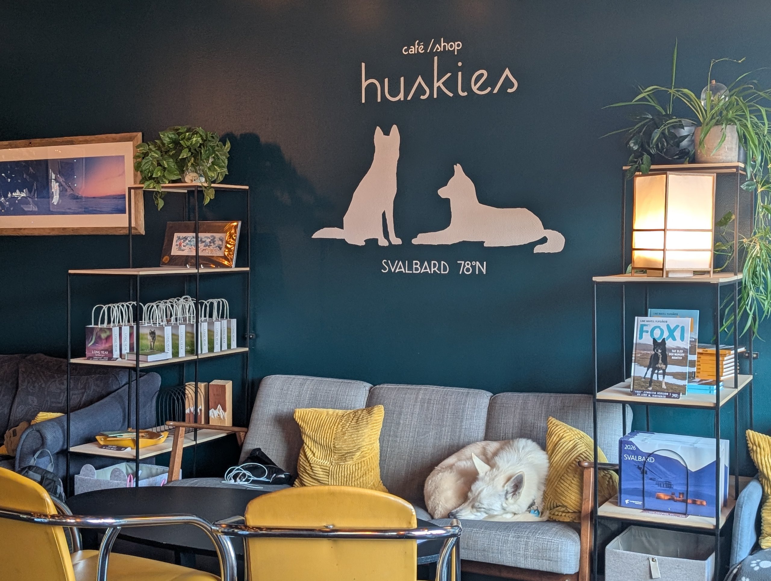「huskies」の文字と犬の絵の壁の前の、ソファで眠る犬
