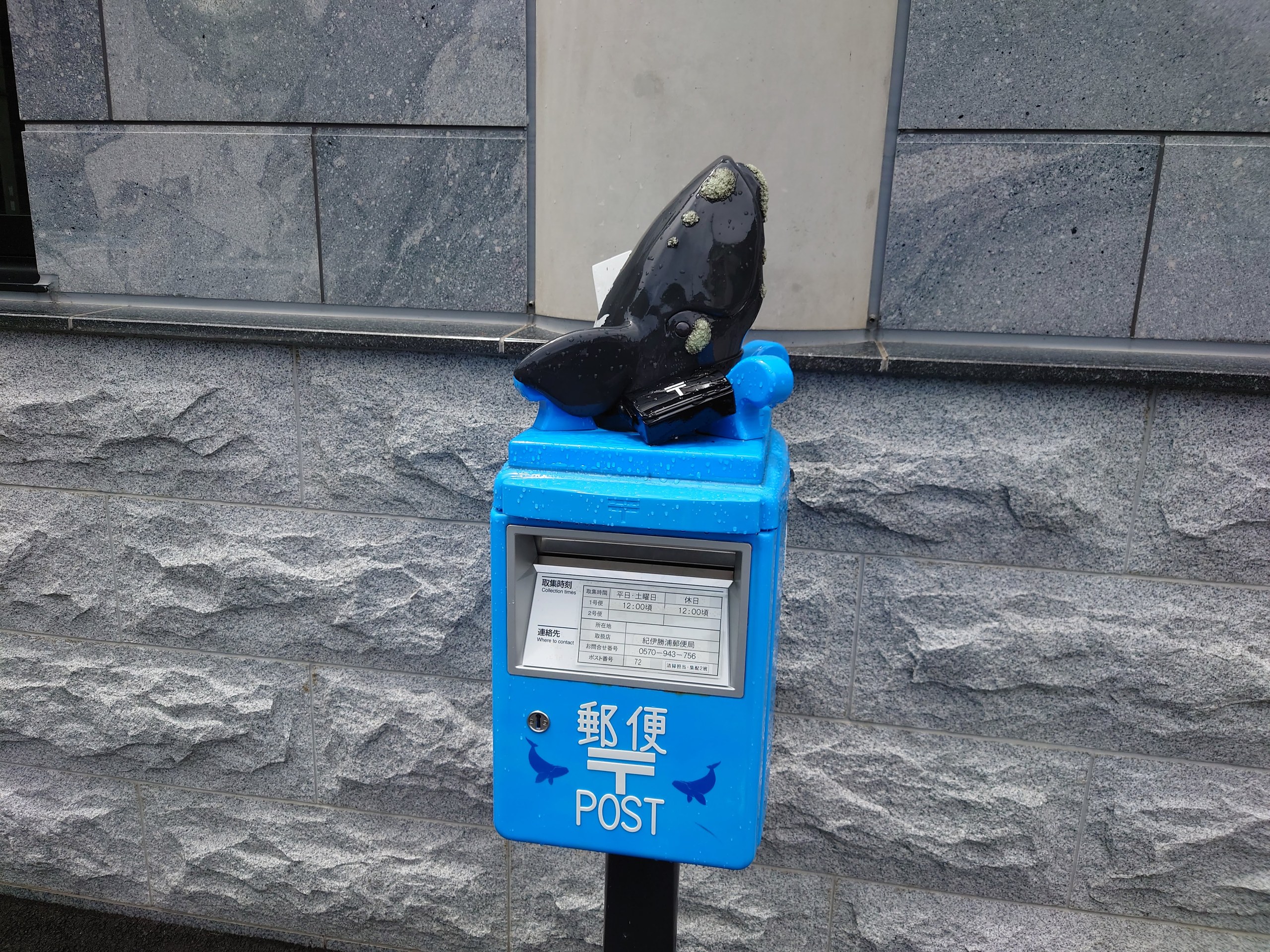 吹き抜けの天井から吊るされた、何体ものクジラの骨格標本