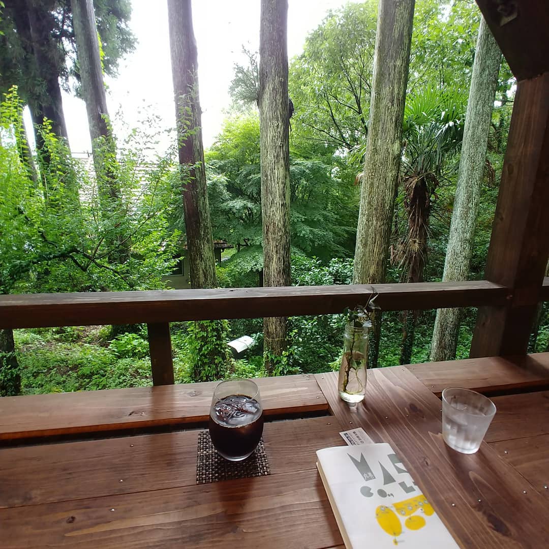 森に面したテラス席のアイスコーヒー