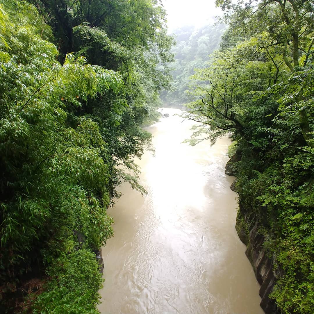 木々の間を流れる、濁った高千穂峡の川