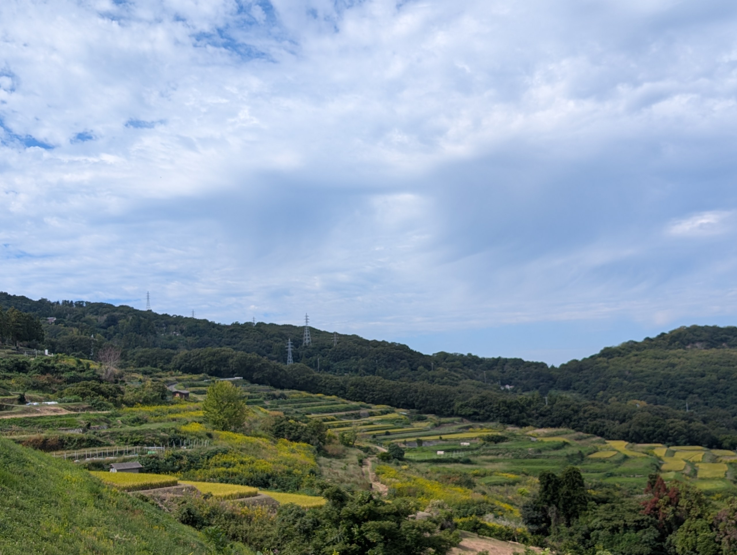山の斜面に広がる、豊島の棚田