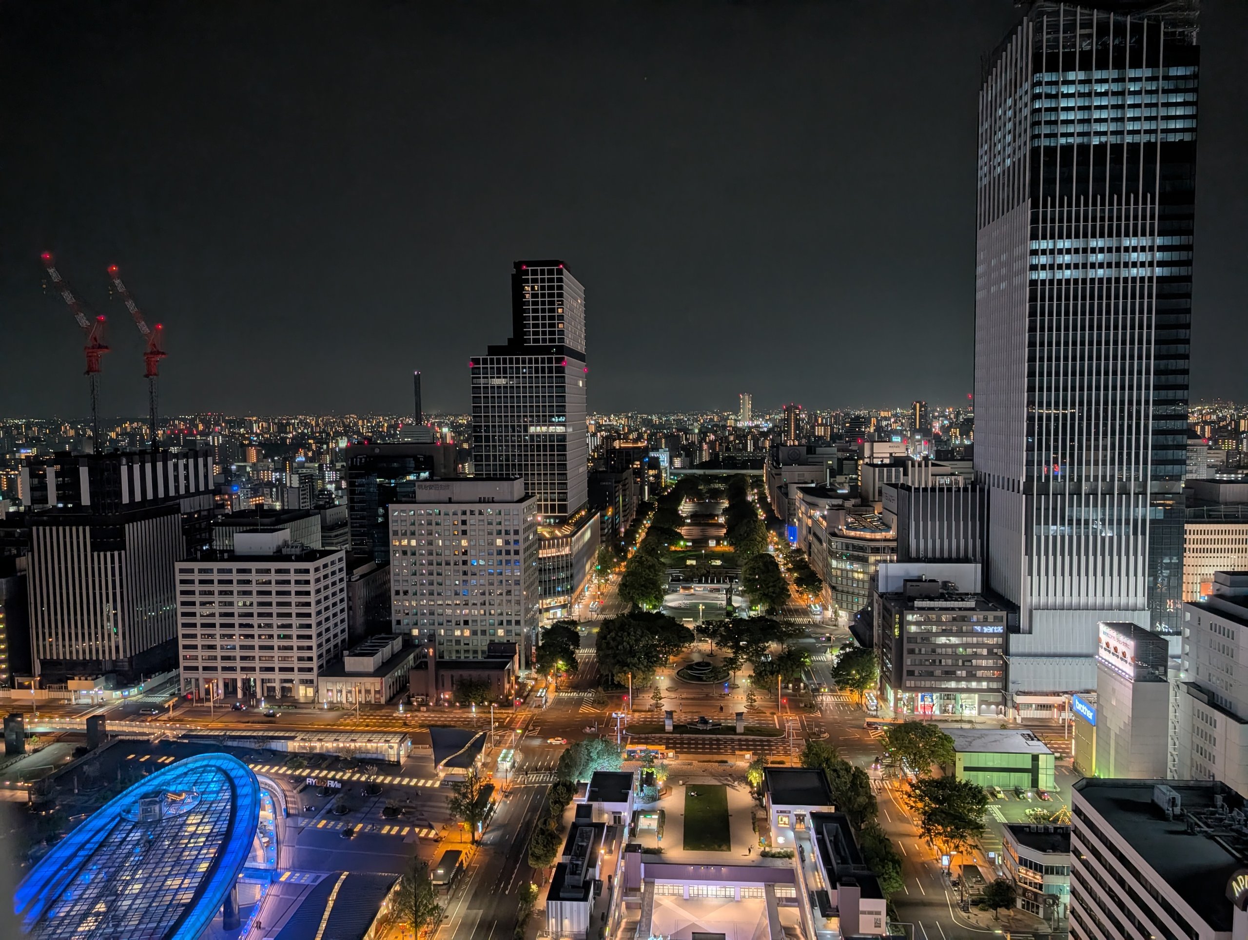展望台から見た夜の名古屋。光るビルと、まっすぐ延びる公園