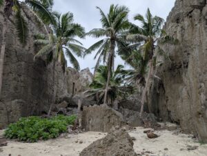 岩の壁に囲まれた谷の中に立つ、ヤシの木と白い砂