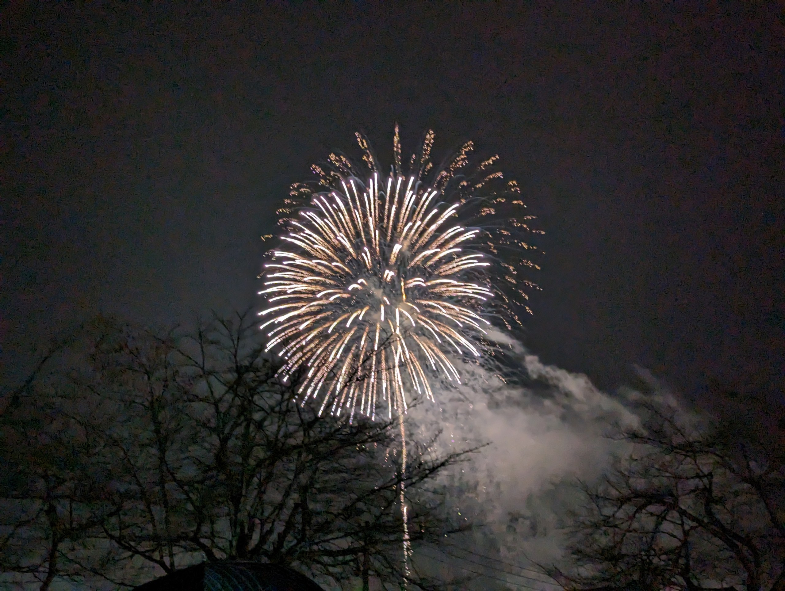 夜空に大きく開く、白い打ち上げ花火