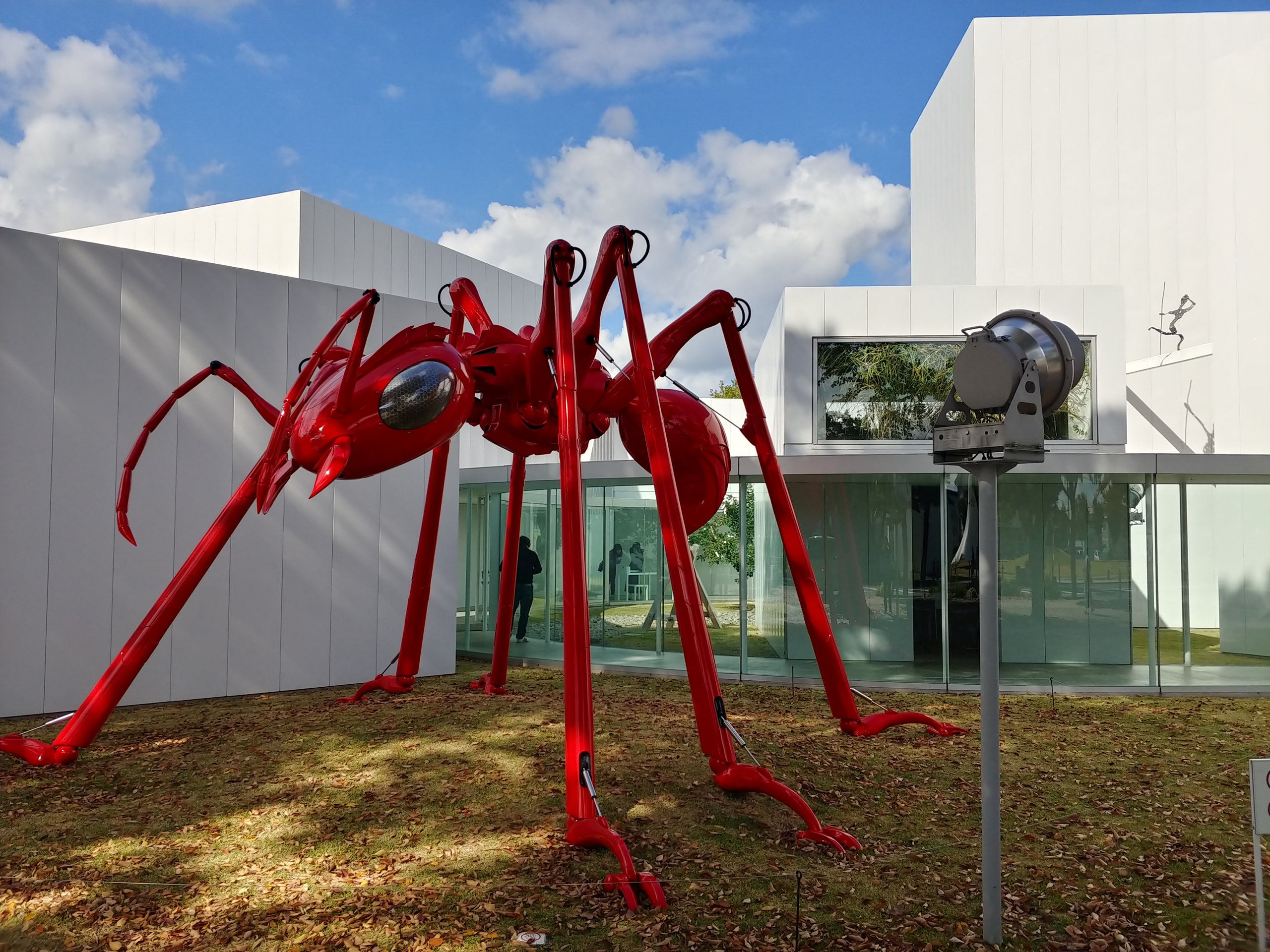 美術館の前の芝生に立つ、赤い巨大なアリの作品「アッタ」