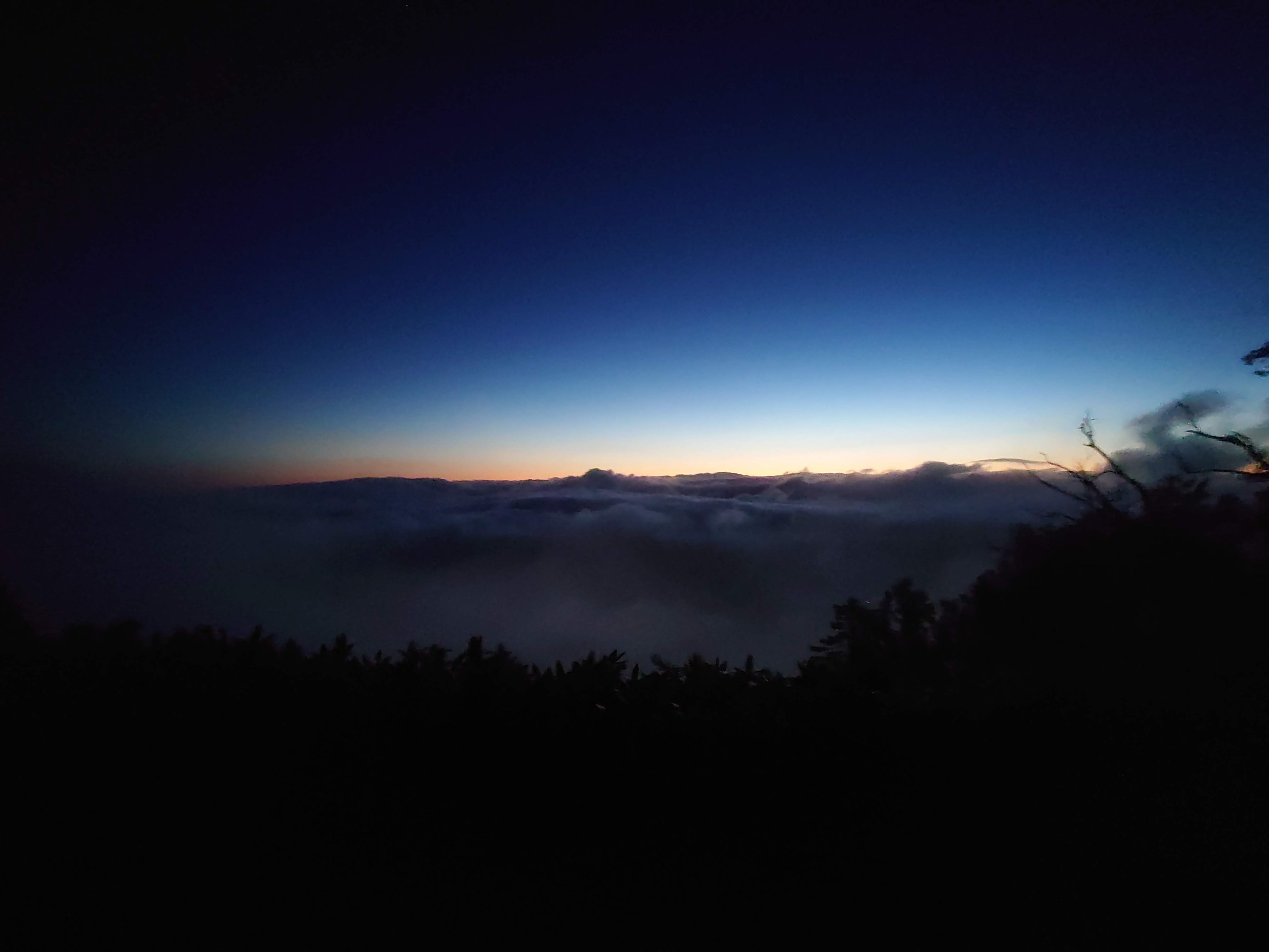 明るくなりはじめた空と眼下の雲海