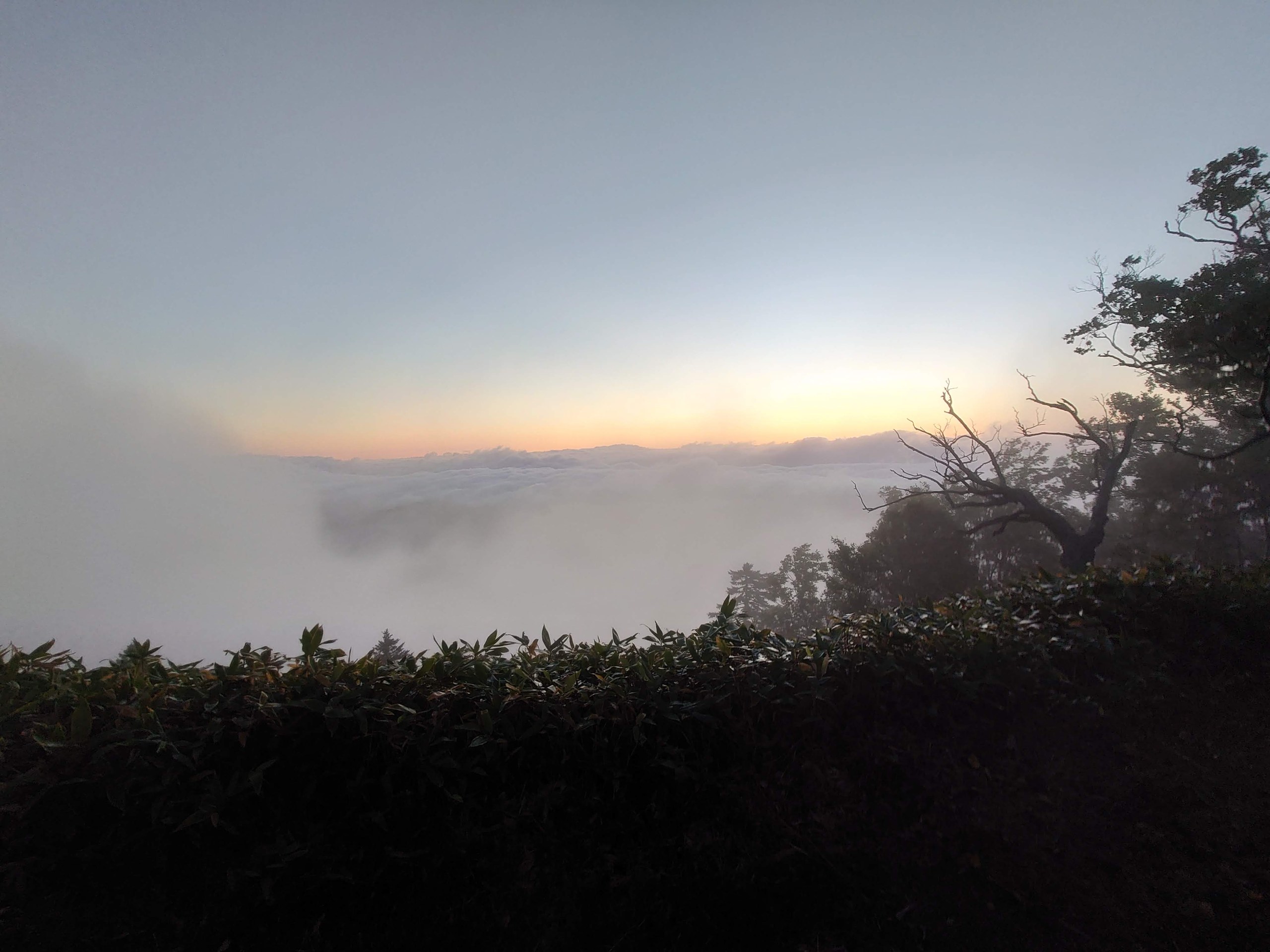 雲に包まれて白くなった展望所の景色