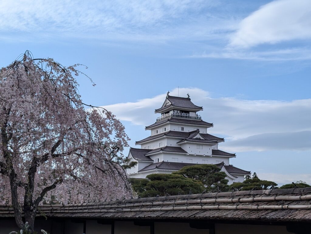 しだれ桜と、その向こうの鶴ヶ城の天守