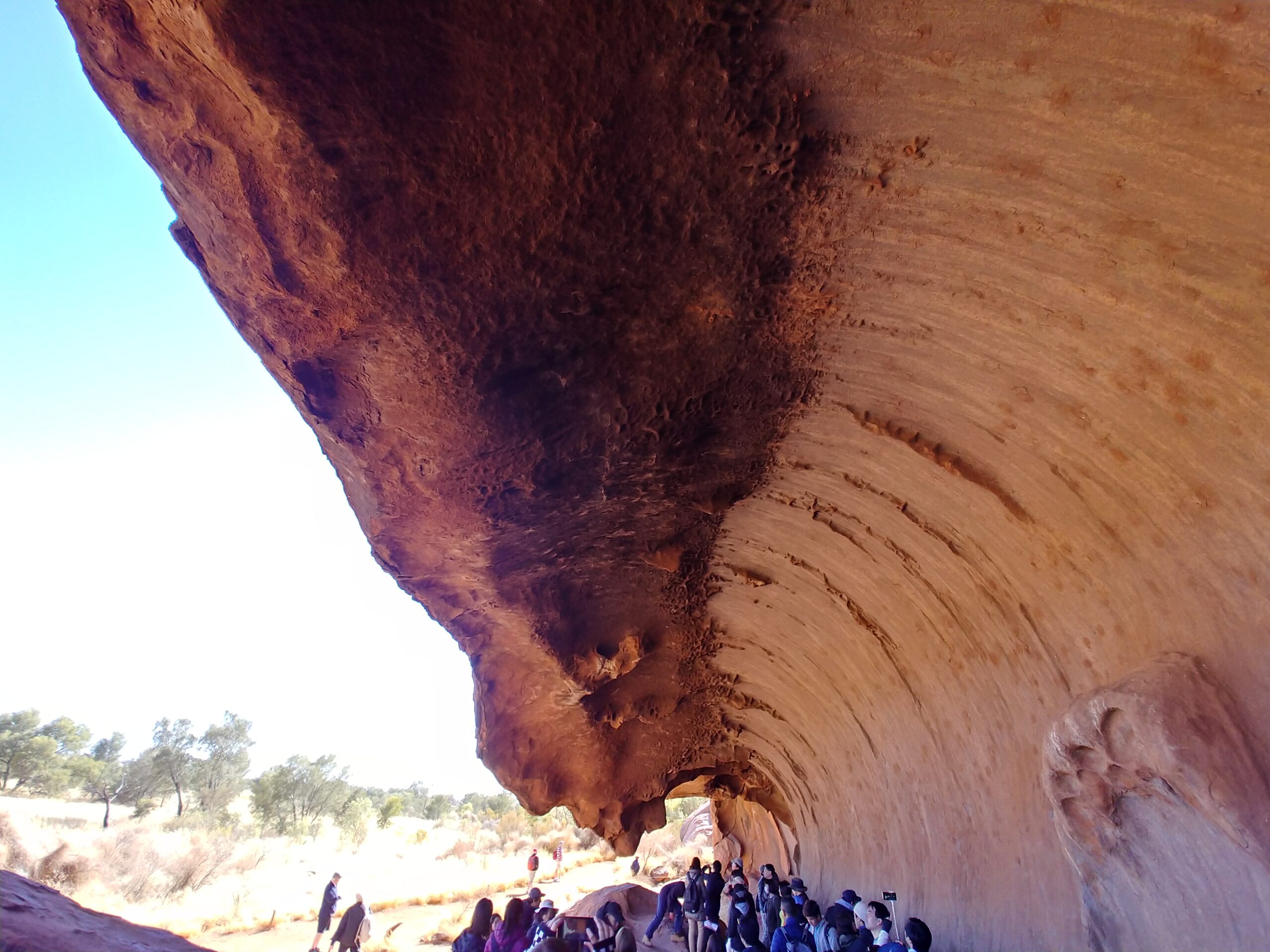ウルルの麓の、波のようにえぐれた岩壁