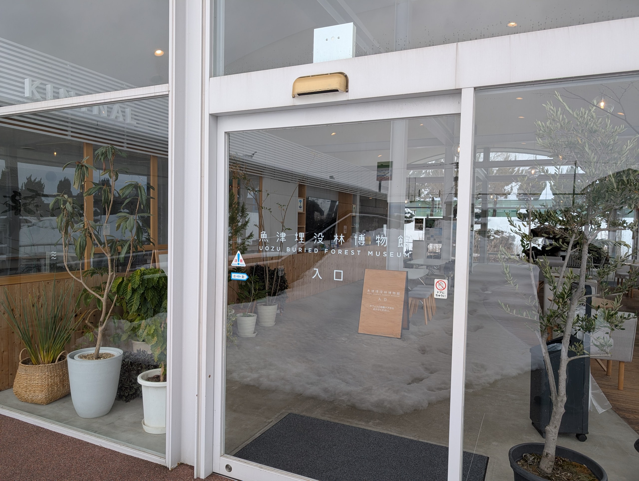 魚津埋没林博物館の入口